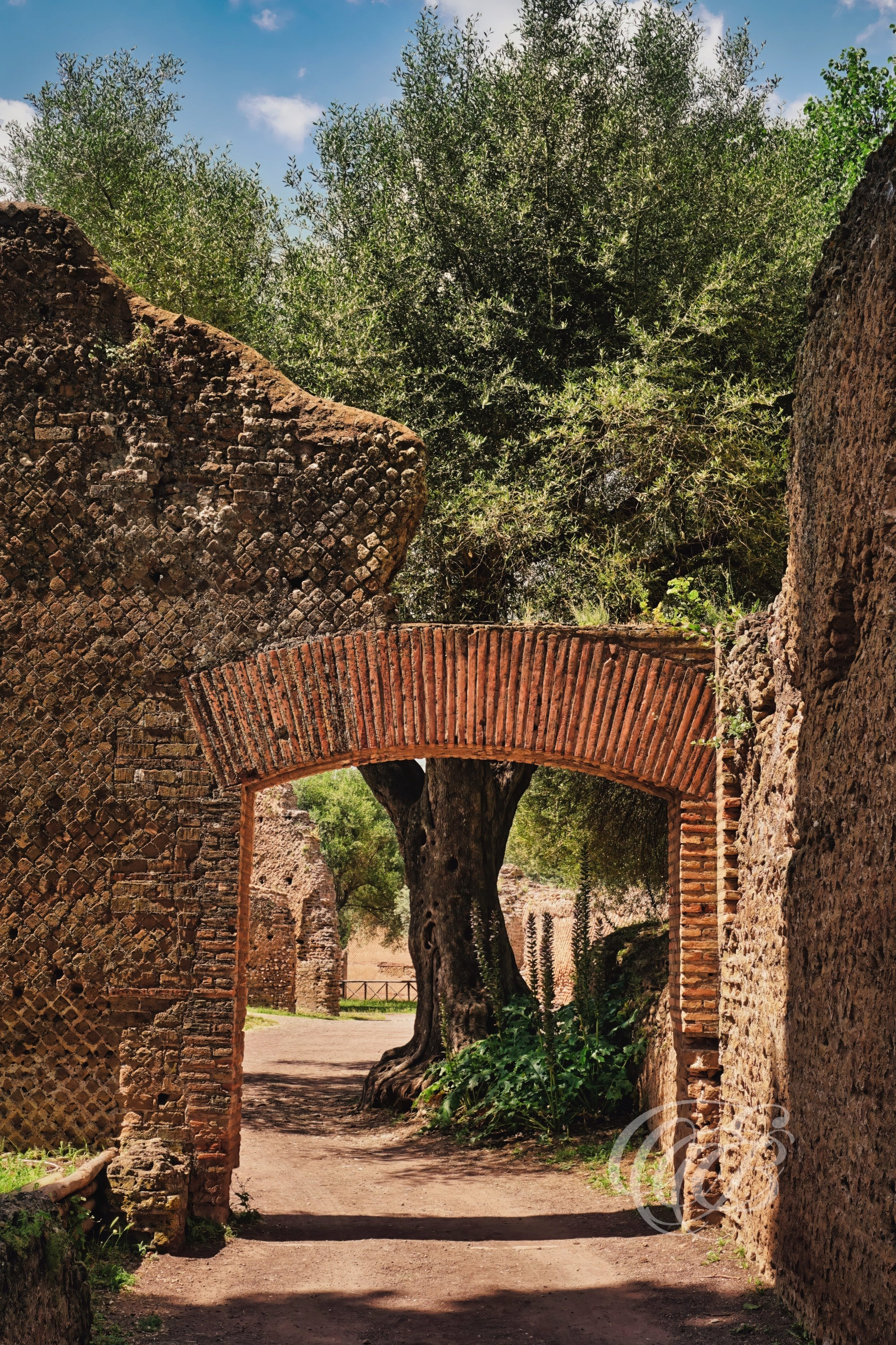 Photography of Italy — Rome, Small Thermae Arch at Hadrian’s Villa — Eduardo Bartoli Fine Art & Travel Photography