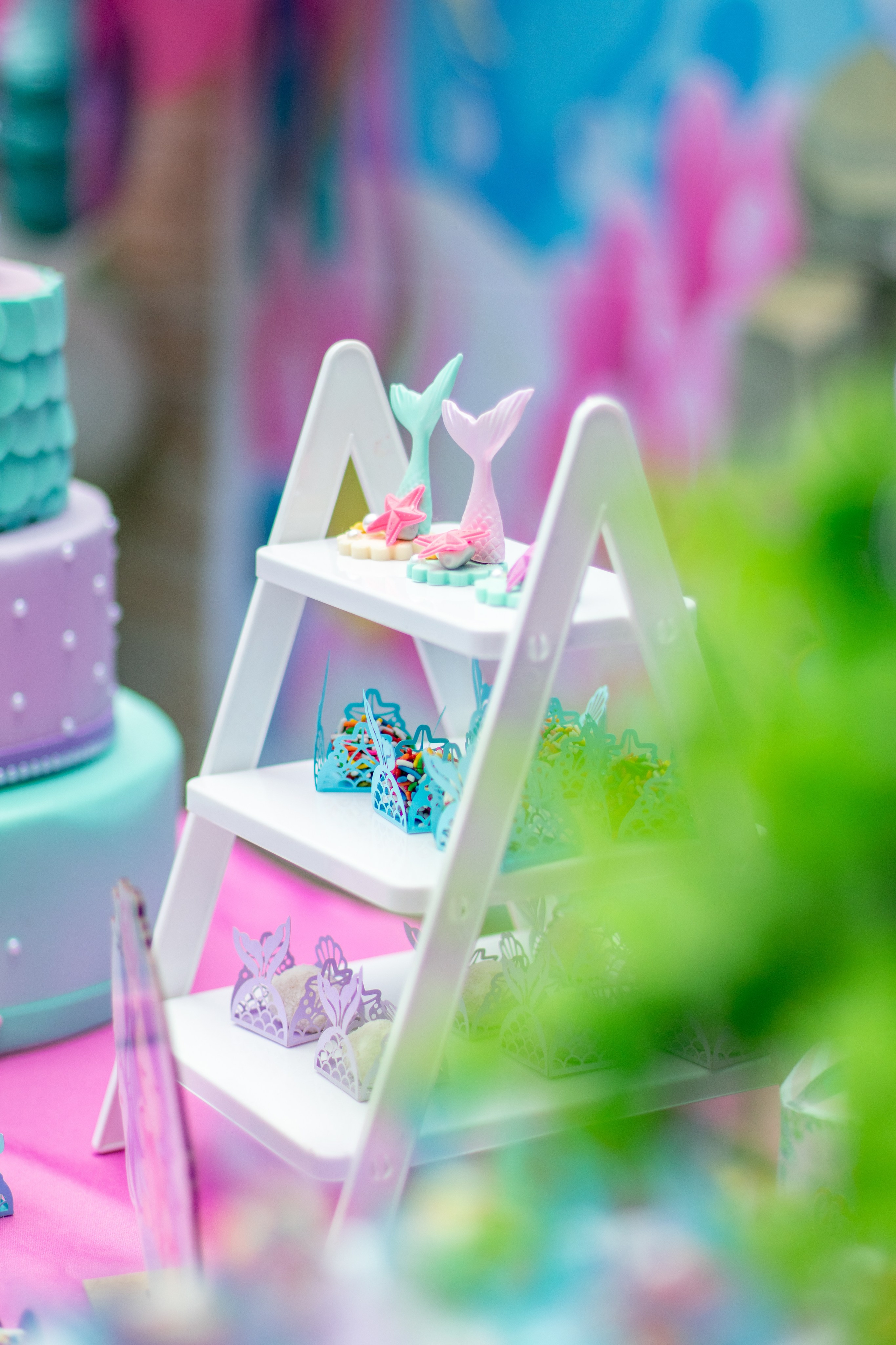 Liz — Aniversário 1 ano. Principal