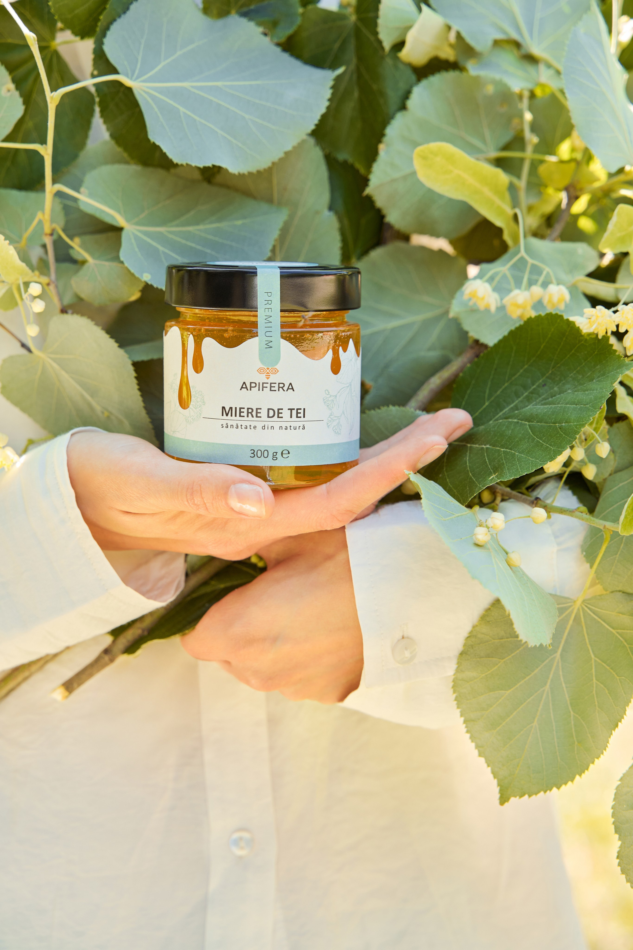 Apifera. Привет