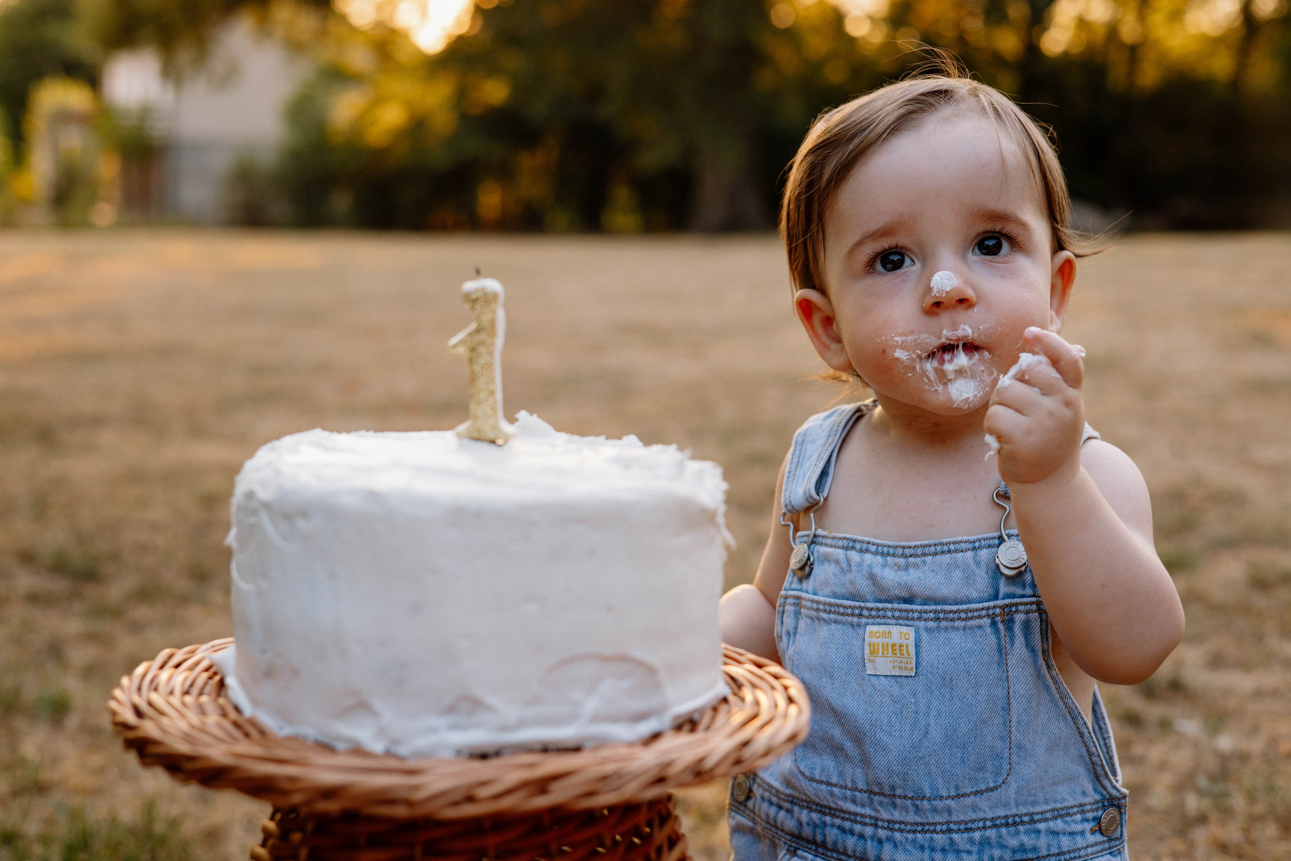 Smash Cake Photography. Family and Wedding Photographer