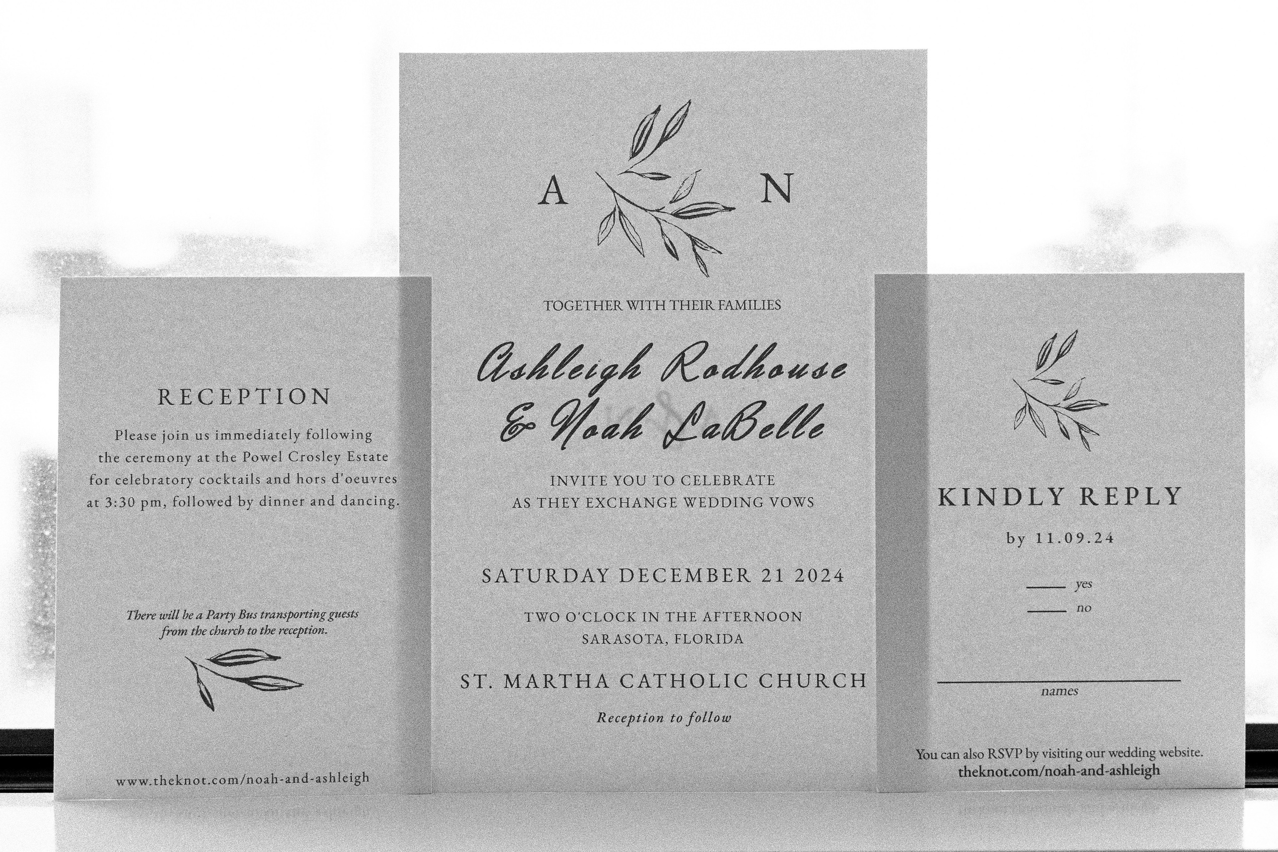 A&N. Wedding photographer in Florida