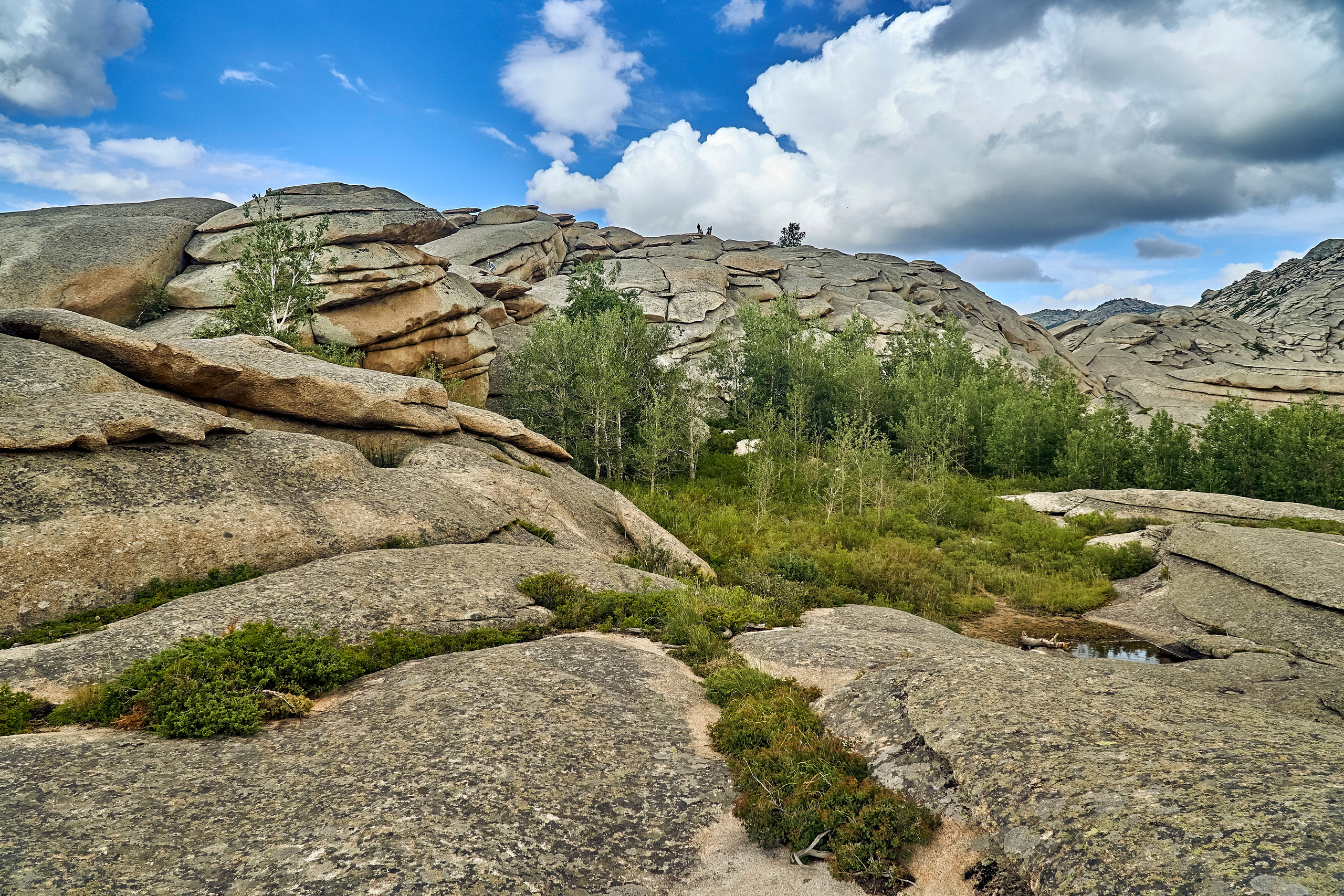 Сибины. Андрей Шипилов — Фотография & Видеография