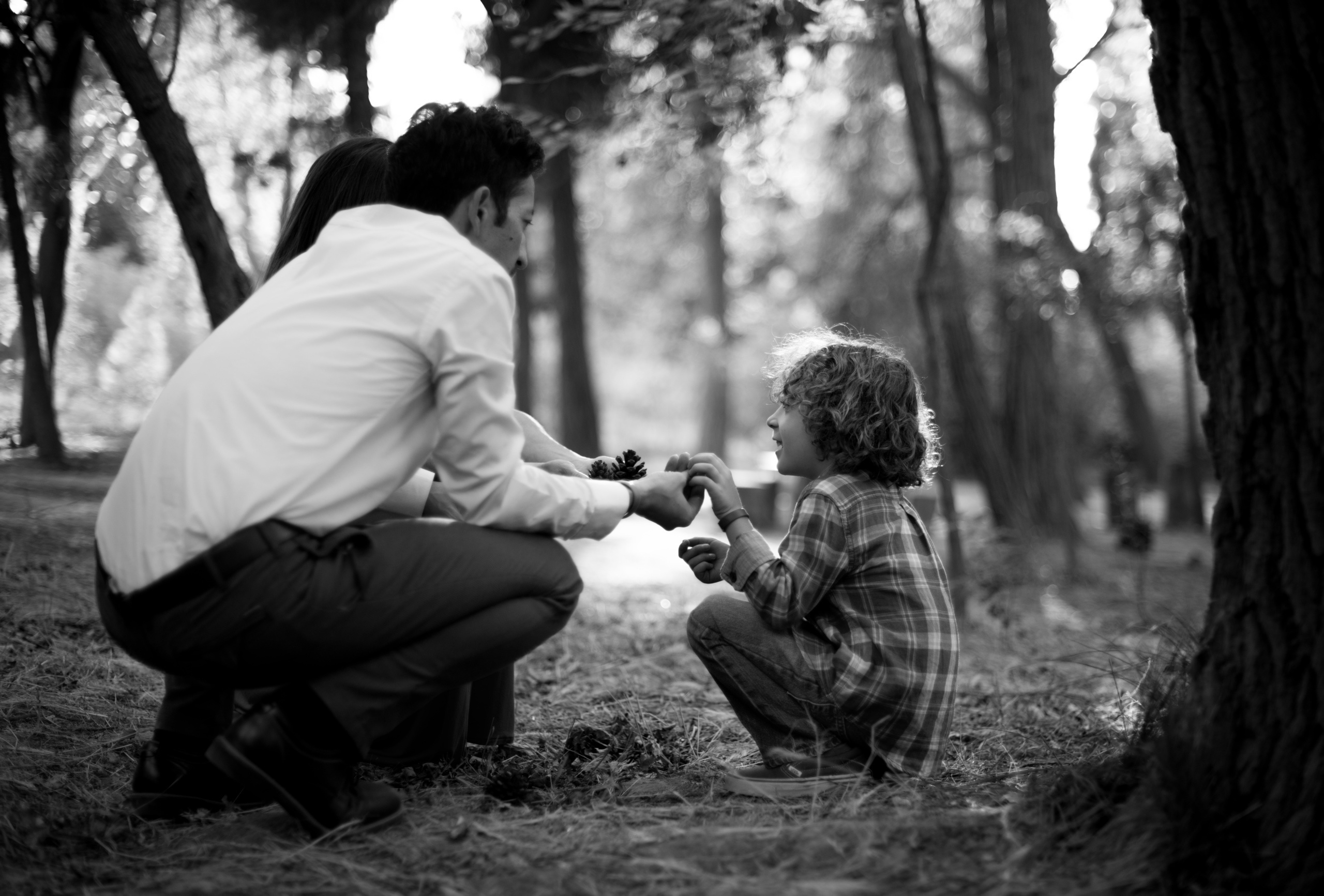 Оттенки осени. Наргиз Сулейманова - Фотограф в Азербайджане