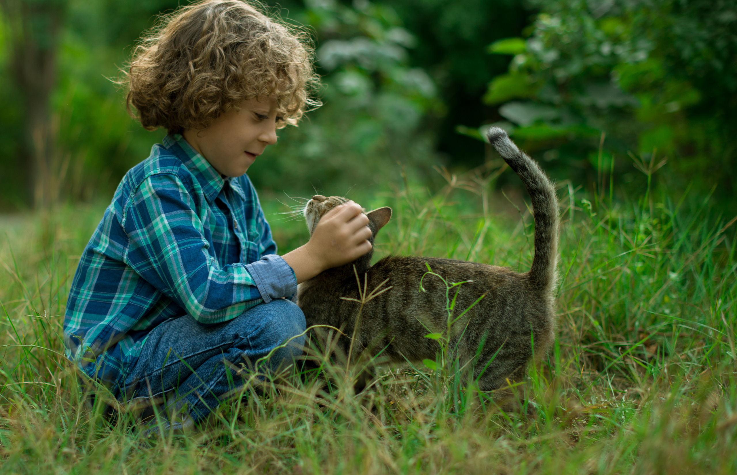 Оттенки осени. Наргиз Сулейманова - Фотограф в Азербайджане