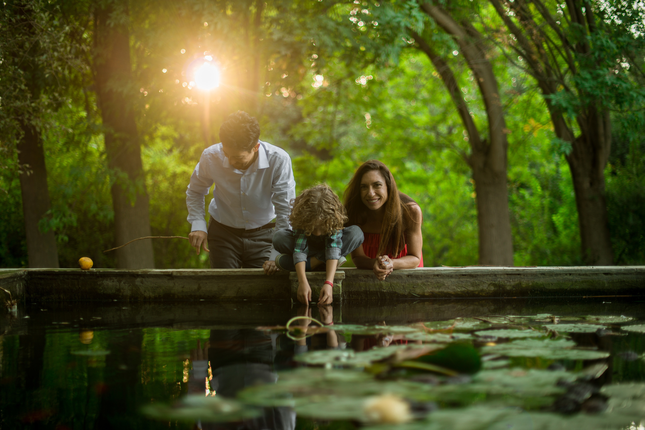 Оттенки осени. Наргиз Сулейманова - Фотограф в Азербайджане