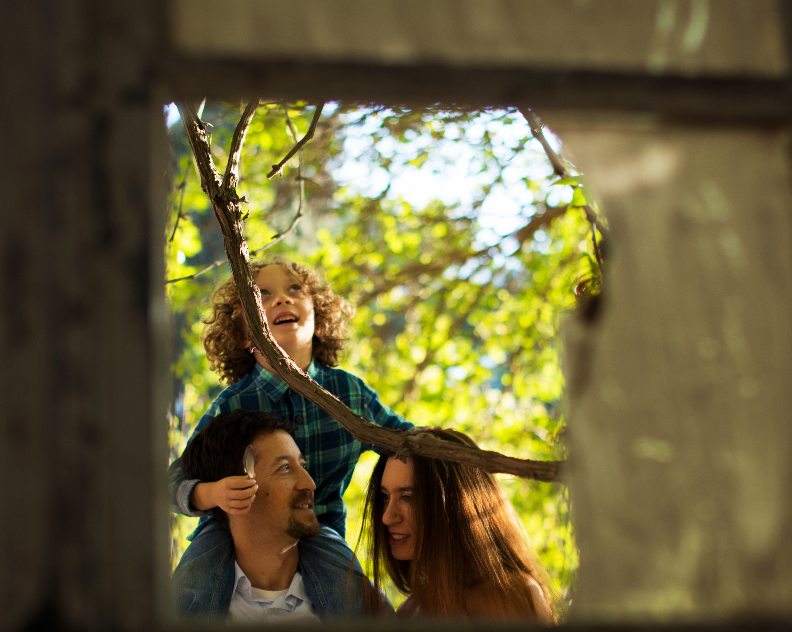 Оттенки осени. Наргиз Сулейманова - Фотограф в Азербайджане