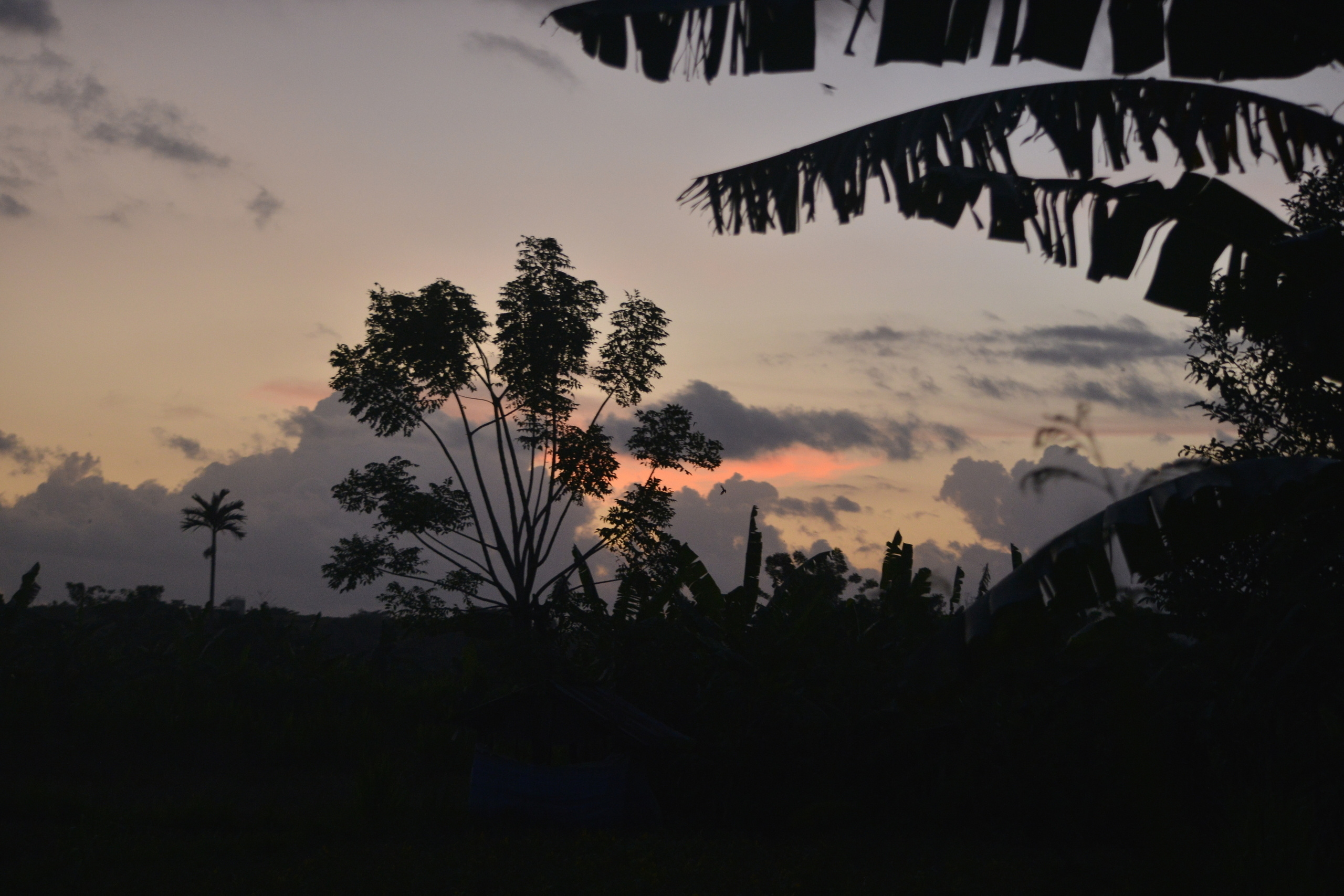 Бали. Наргиз Сулейманова - Фотограф в Азербайджане