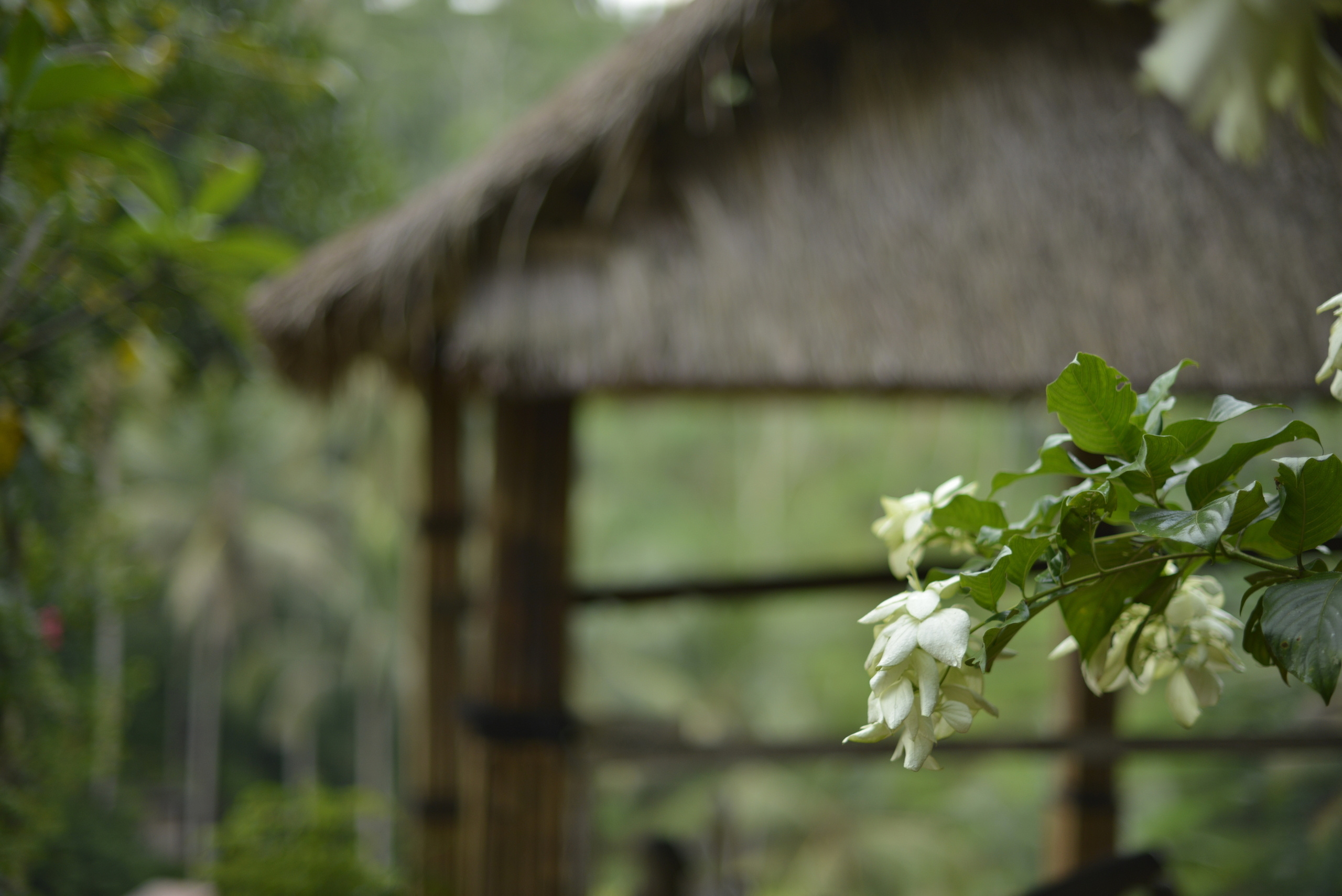 Бали. Наргиз Сулейманова - Фотограф в Азербайджане