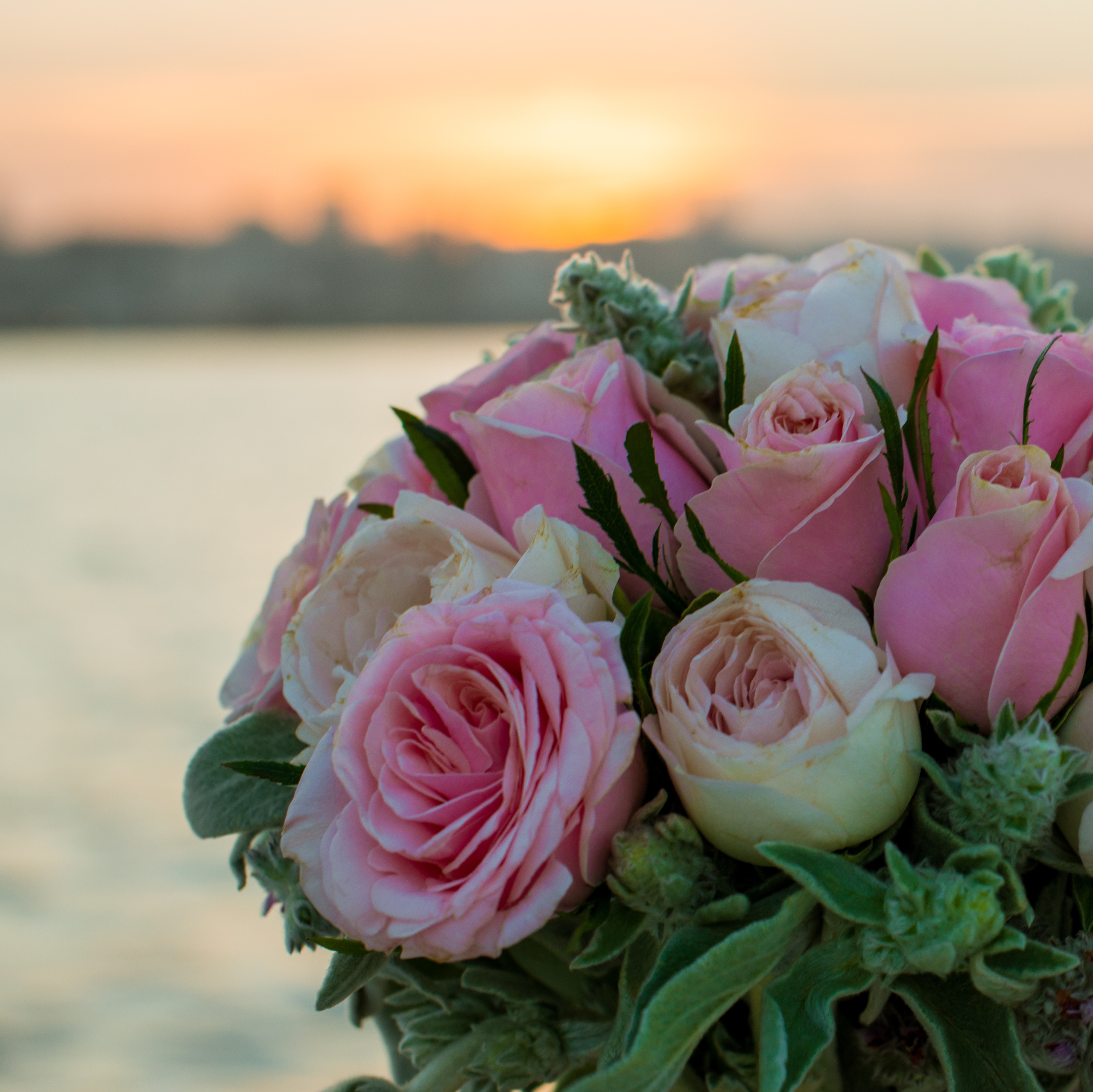 Миг счастья. Наргиз Сулейманова - Фотограф в Азербайджане