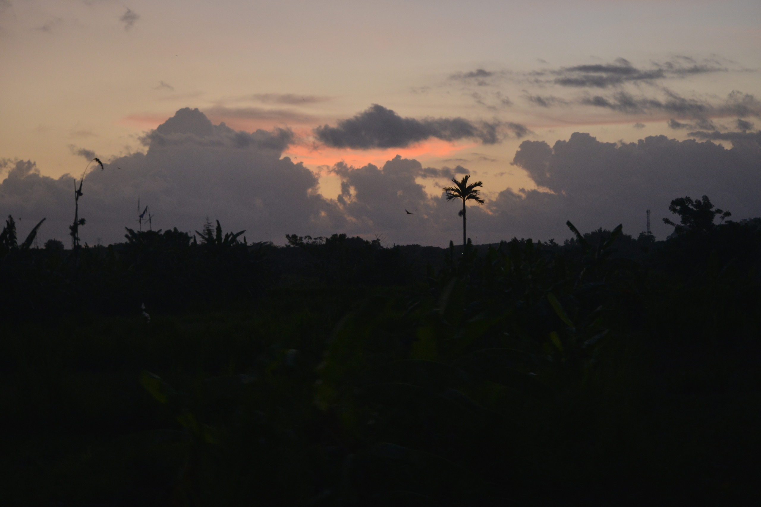 Бали. Наргиз Сулейманова - Фотограф в Азербайджане