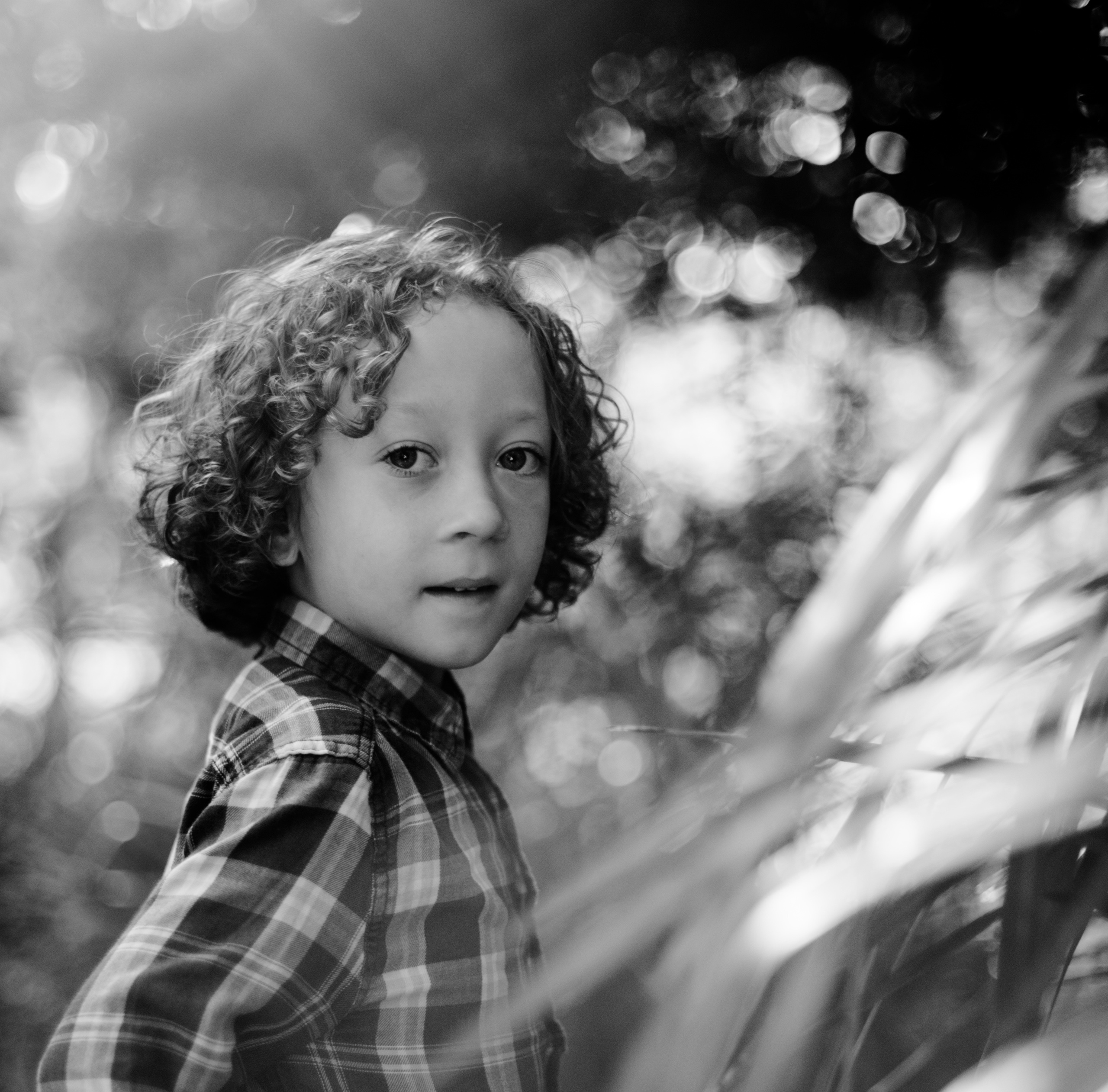 Оттенки осени. Наргиз Сулейманова - Фотограф в Азербайджане