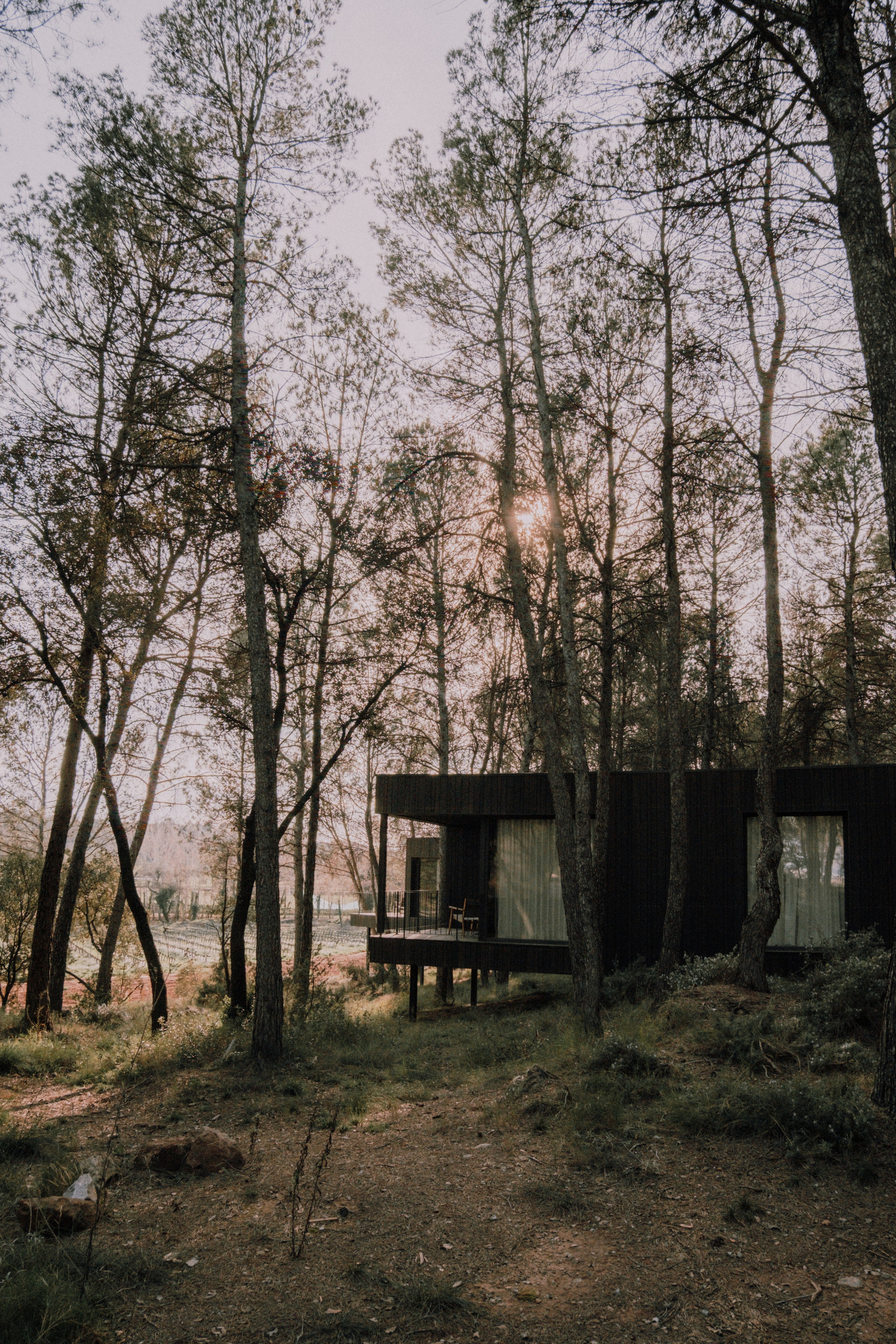 Sesión familiar en el bosque. Fotografía profesional en Calafell - Elena Medvedeva