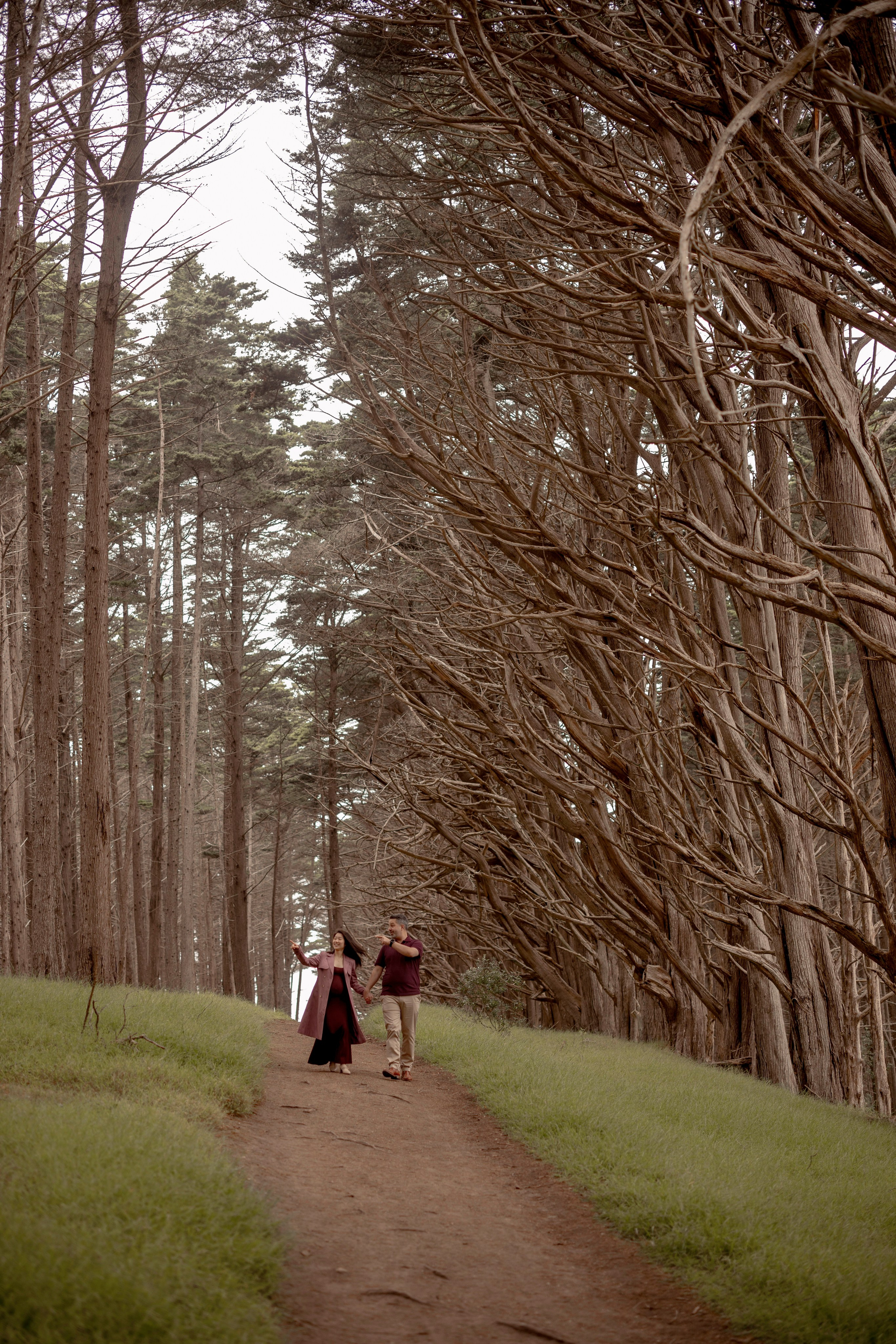 Forest. Bay Area Photographer: family, maternity, love story, wedding