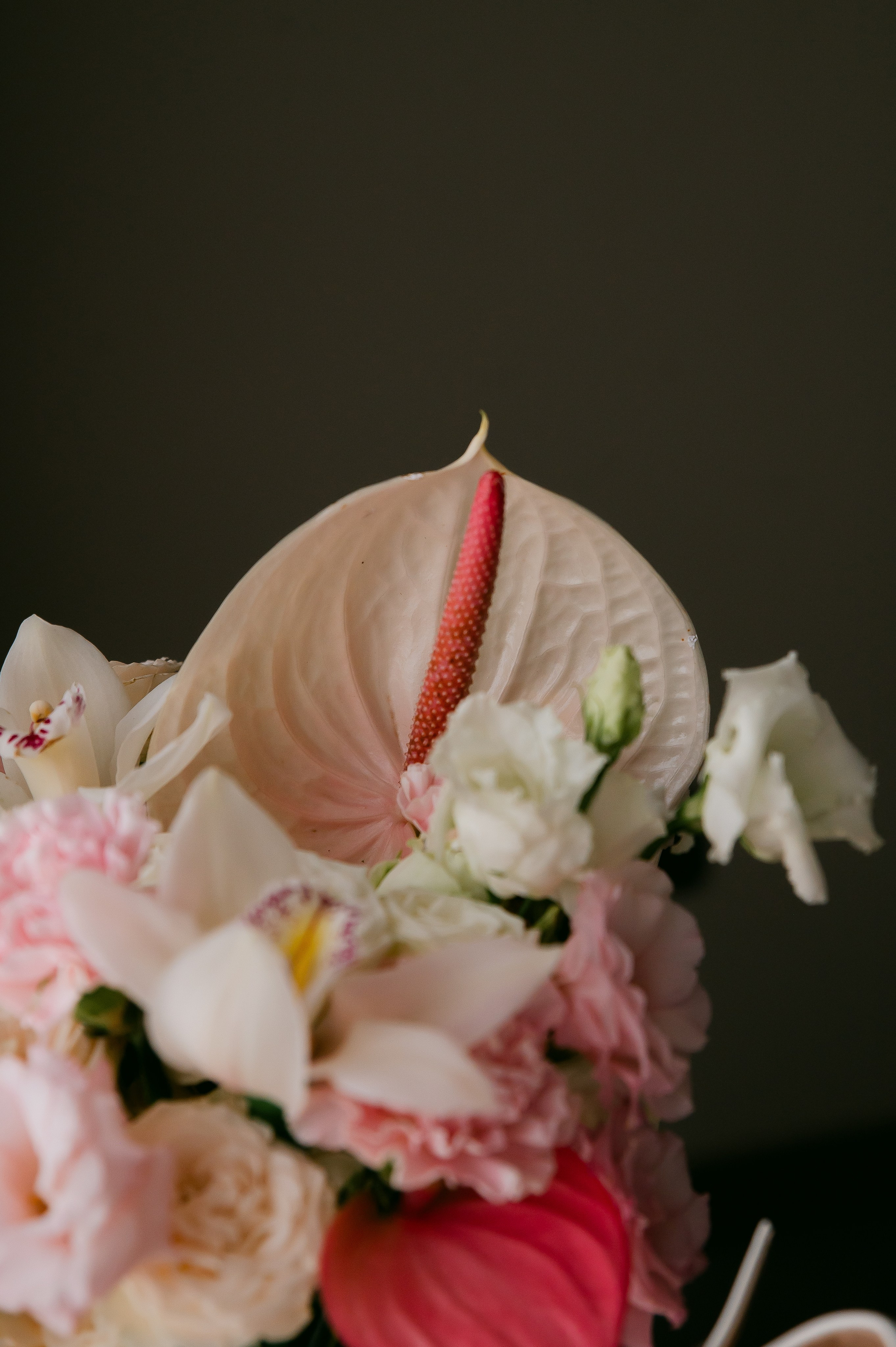 Иван & Анастасия. Свадебный и семейный фотограф Екатерина Шестакова