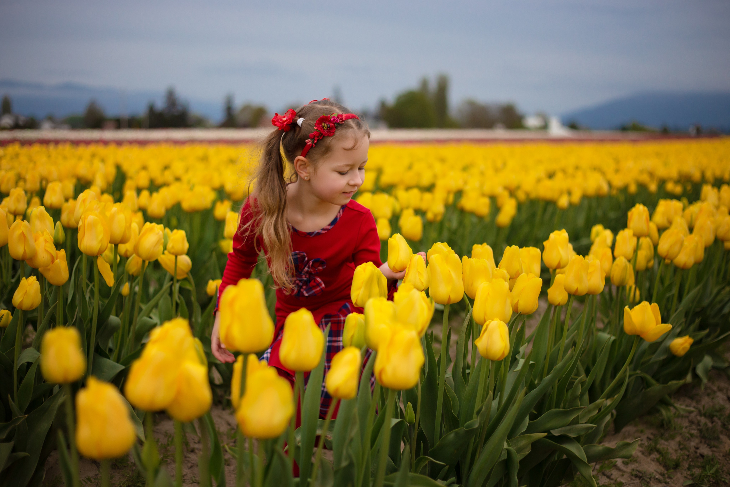 Spring. YuAnna studio. Family & Kids Photographer in Seattle area, located in