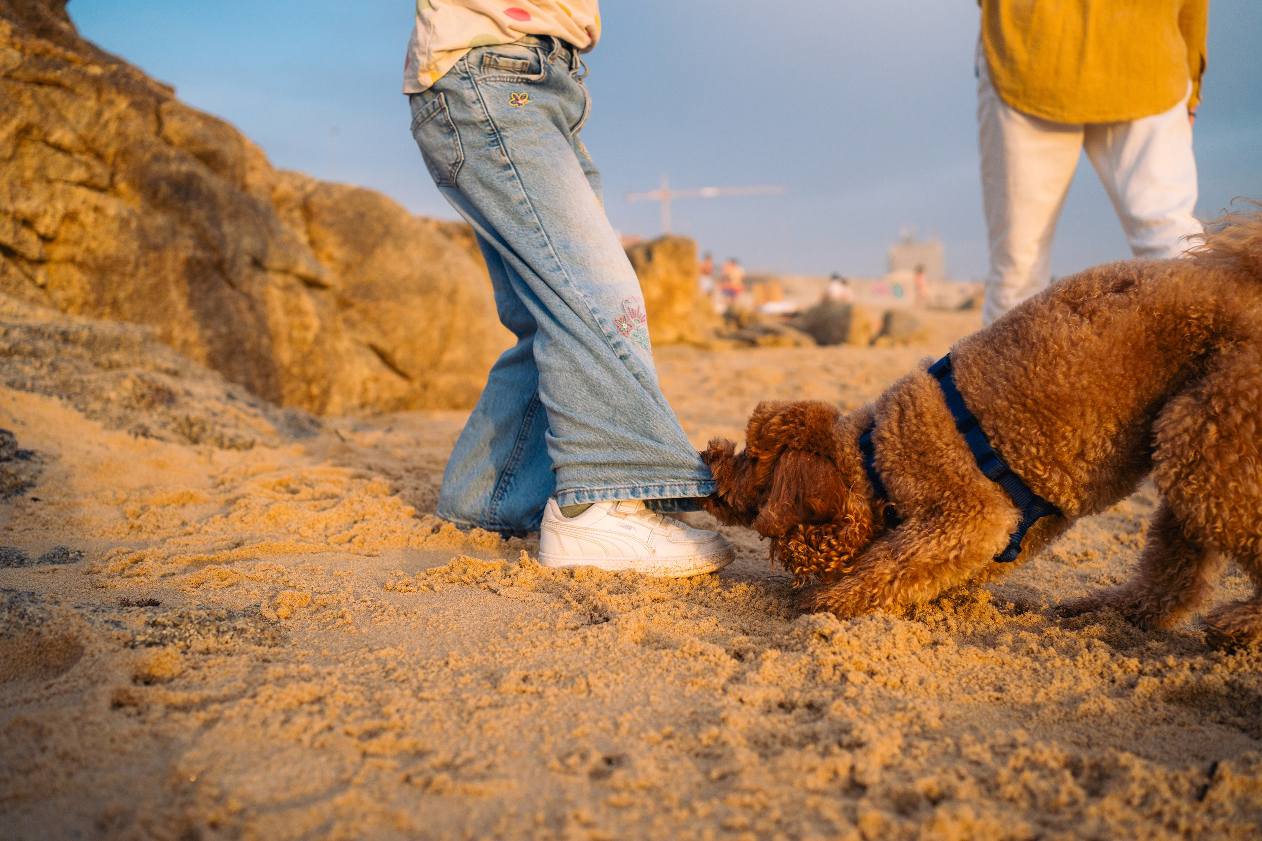 Sveta & Kids. Maria Sher. Fotógrafa profissional do Porto, Portugal