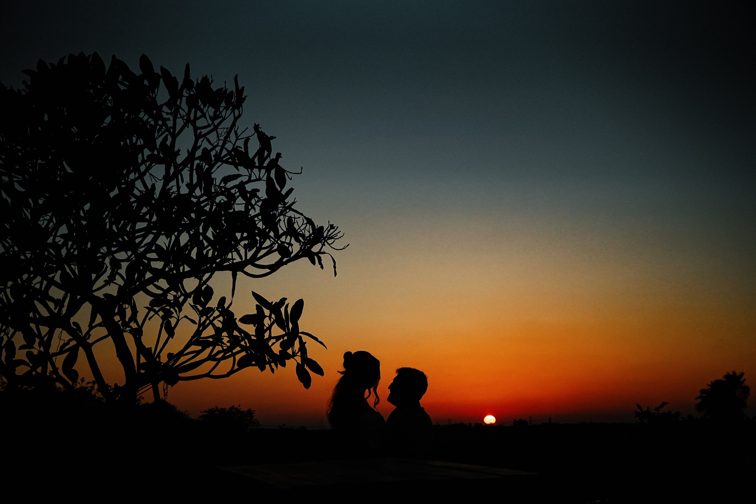 Dmitry Gorodetsky Event Photographer