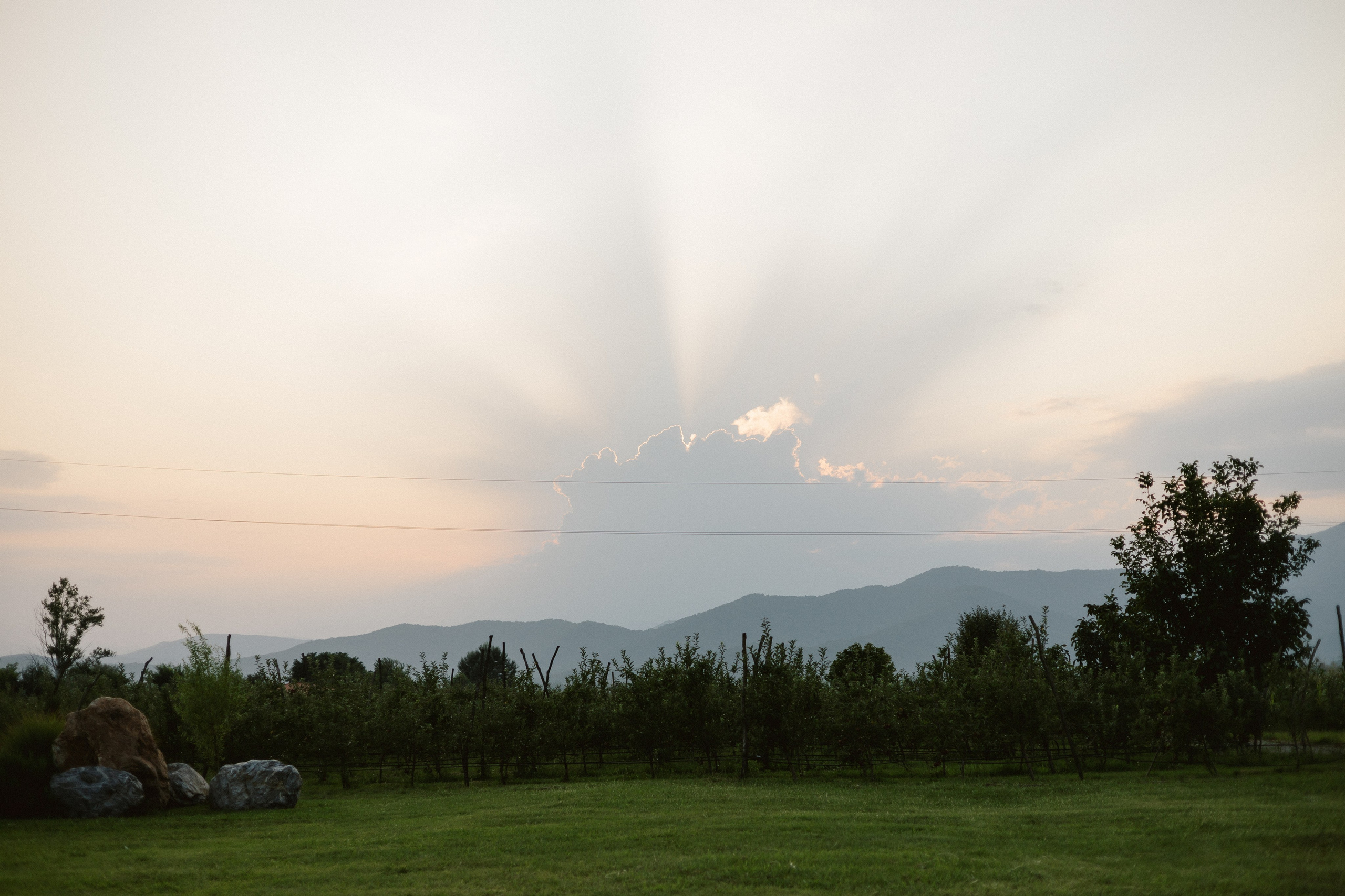 Vlada & Anton. Photographer Anna Nazarenko