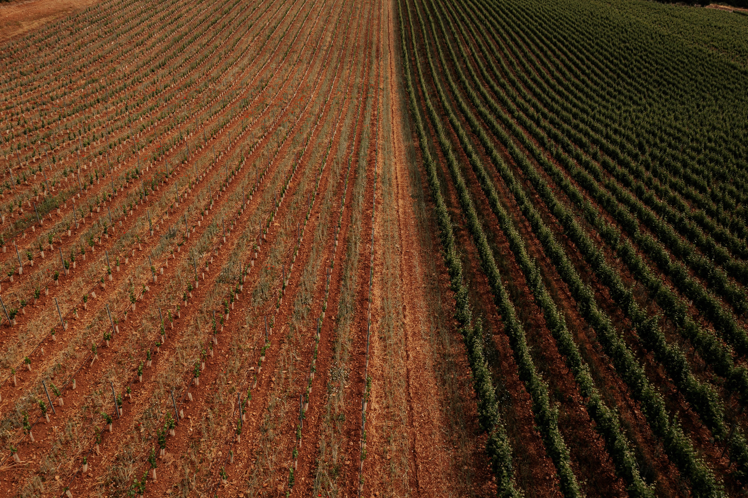 Estates Costa Lazaridi