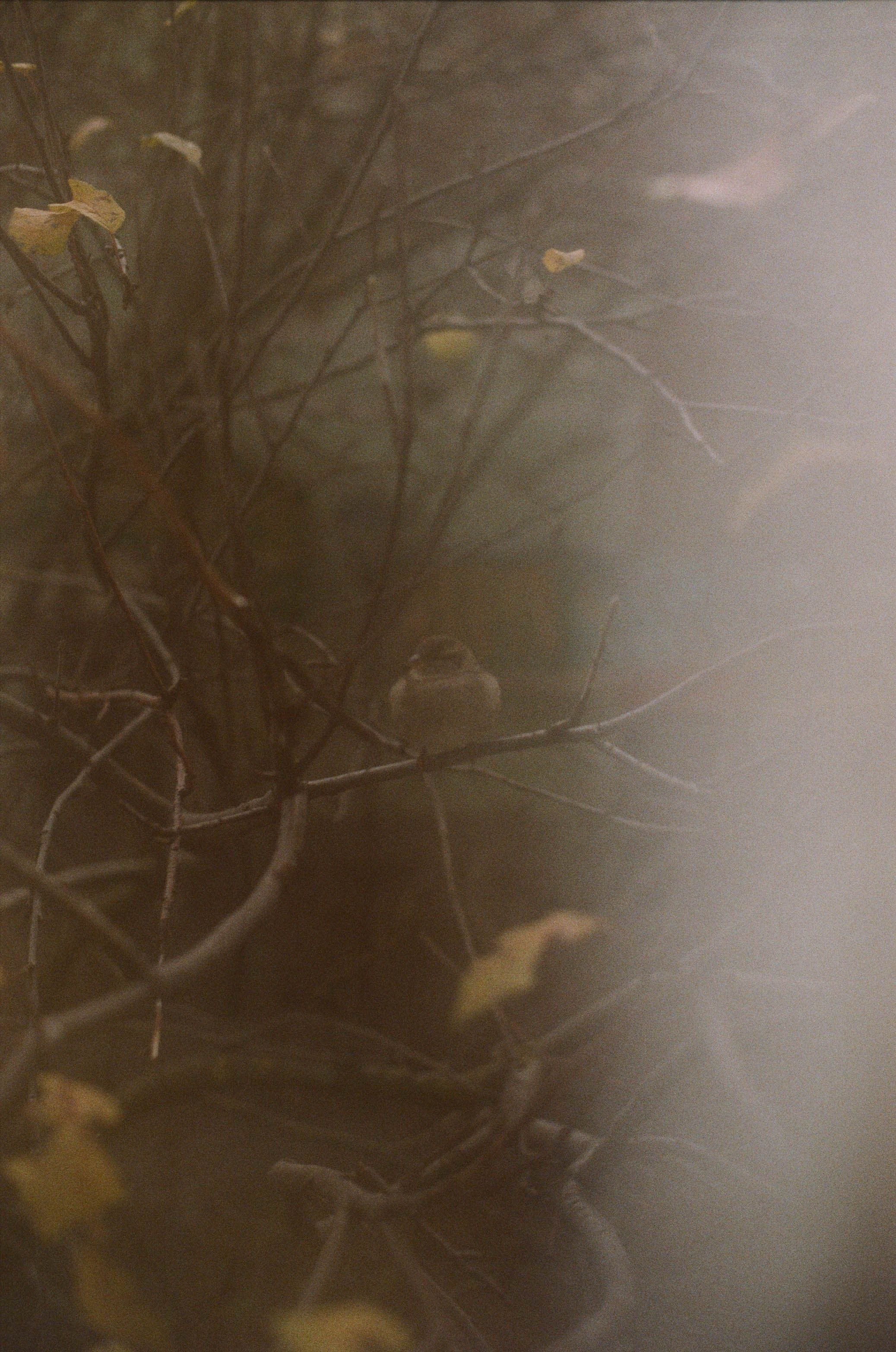 FADE. «Фотохроники»