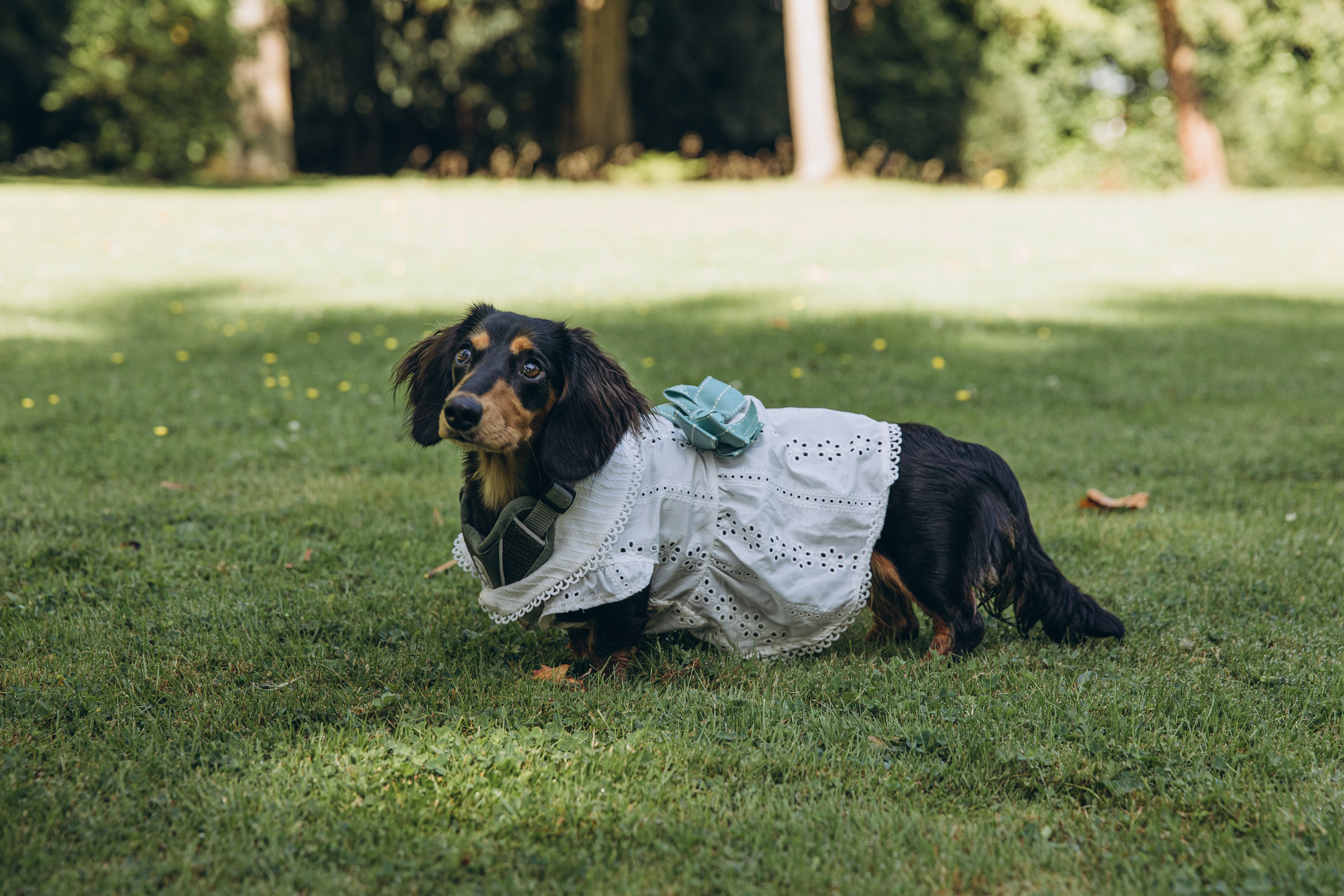 Wedding in Düsseldorf | Wedding Photographer & Videographer. Wedding Stories — Professional Wedding Photography & Videography in Germany, Italy, Spain & all across Europe