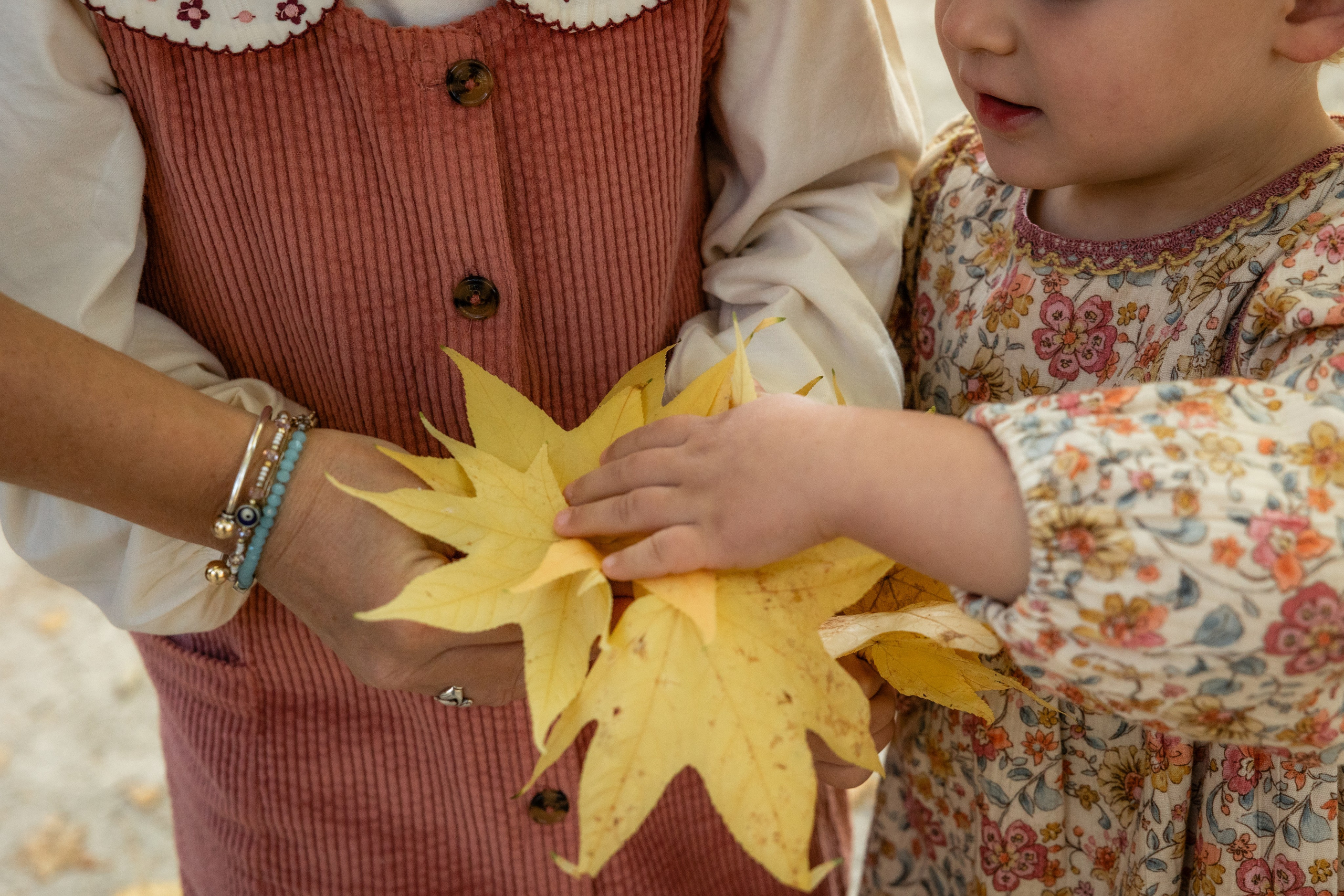 Autumn Family photoshoot in Toulouse. Jardin des Plantes. Eugénie Smirnova — your photographer in Toulouse and southwest France