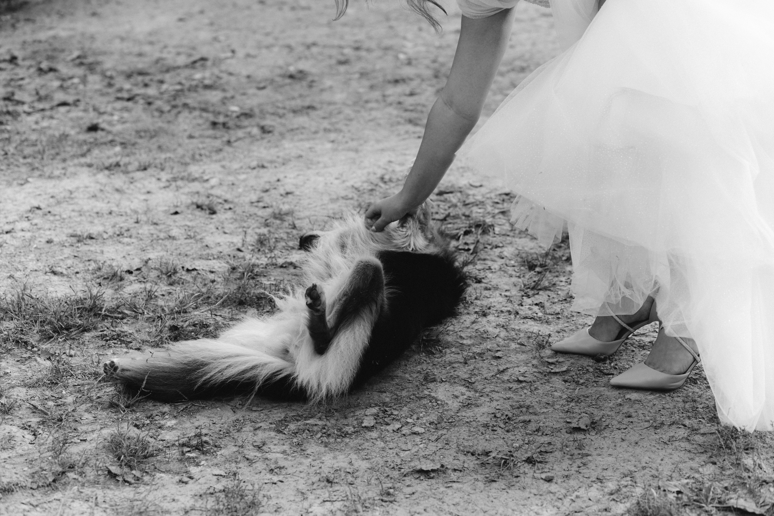 Autumn Wedding in the Vineyards of Piedmont, Italy — Kristina and Daniele. Liza Bizzaro — Italy Wedding, Love Story & Portrait Photographer in Milan, Turin, Piedmont and Across Italy