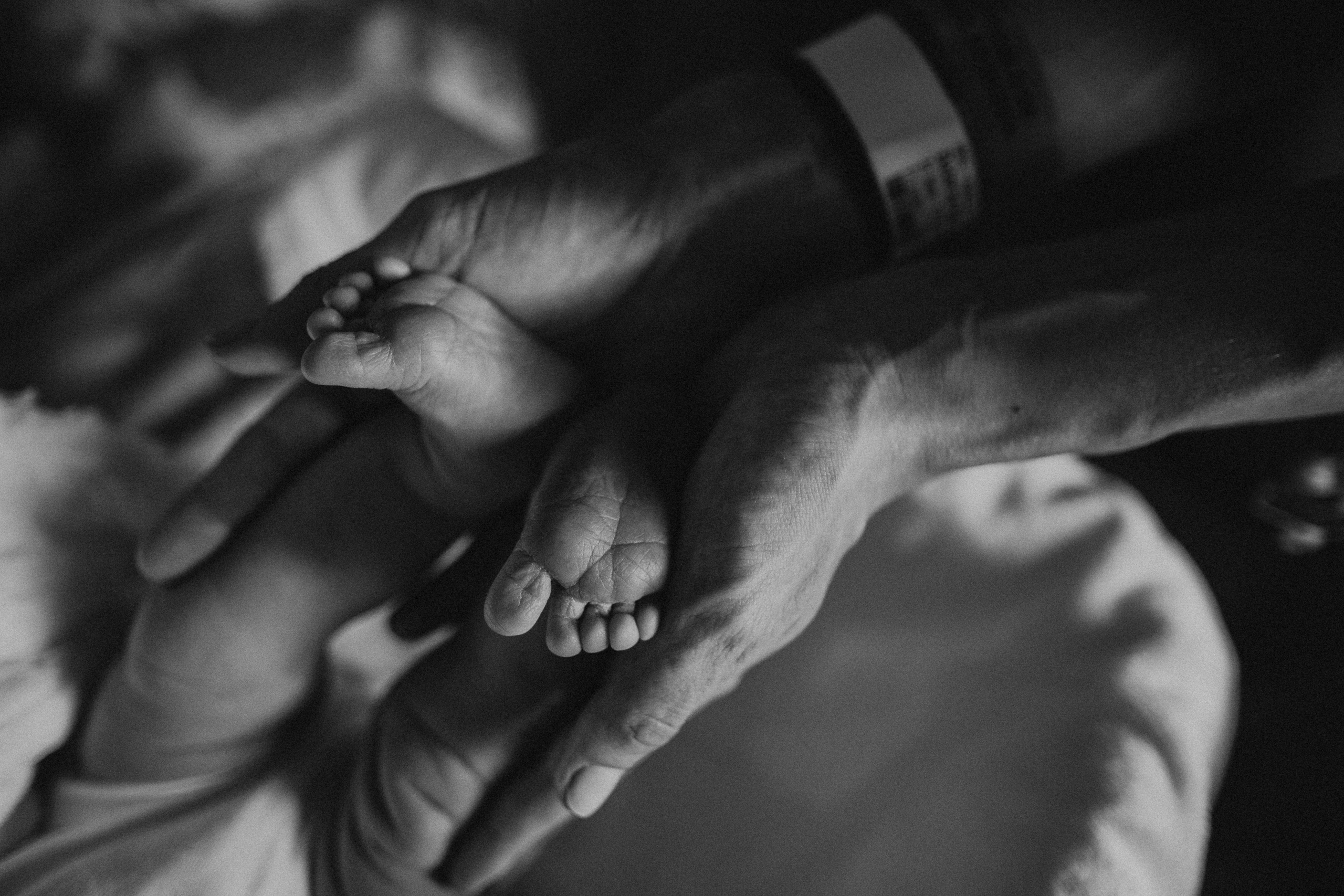 Истории. Fotografa de família e crianças em Florianópolis SC Daria Ermolaev