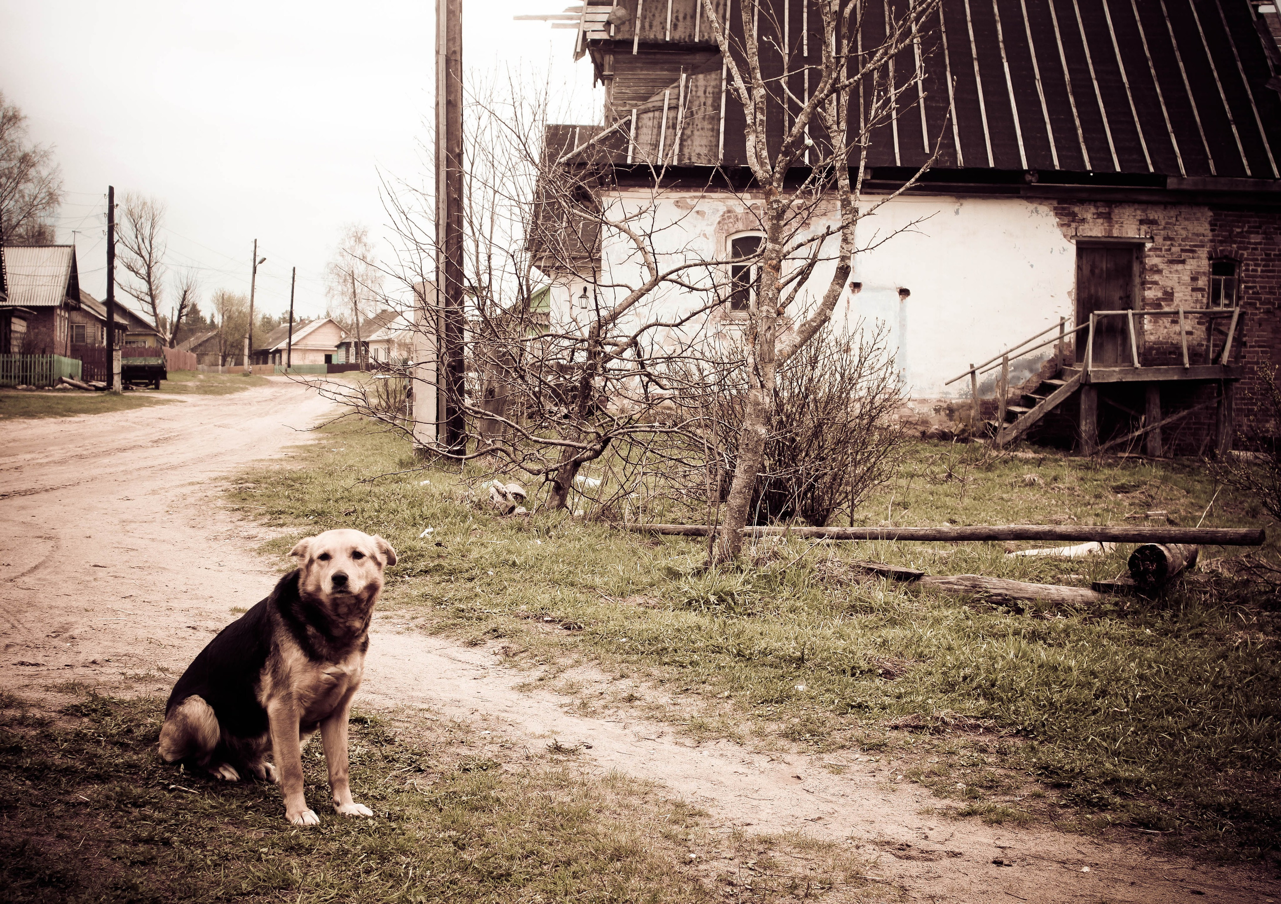 2011. Стрит-фотография, полная абсурда, идиотизма и красоты
