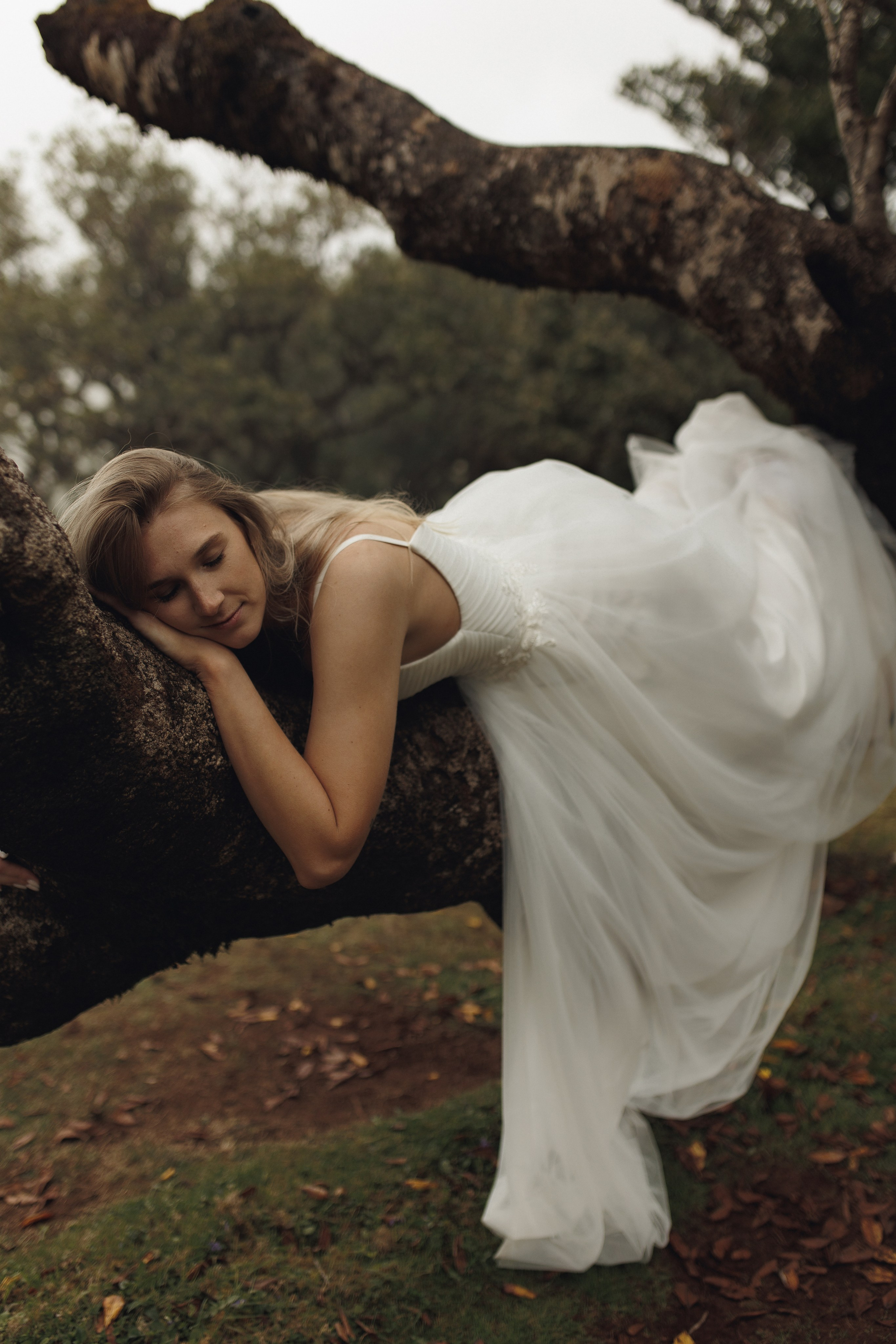 Elopement in Madeira | Mystical Forest of Fanal. Wedding photographer and videographer based in Timisoara, Romania