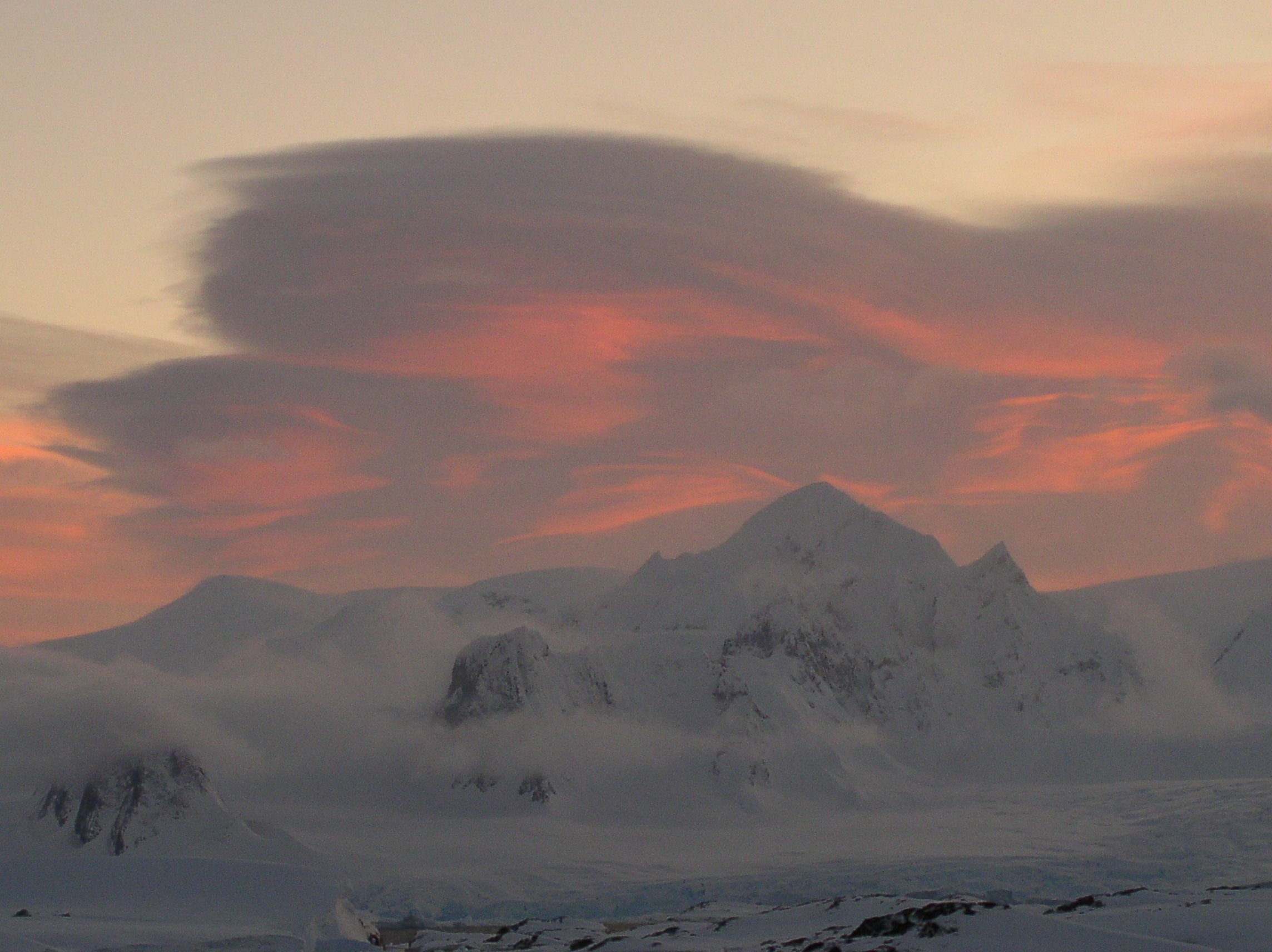 ANTARCTICA. Reportage concert portrait photography in the San Francisco Bay Area