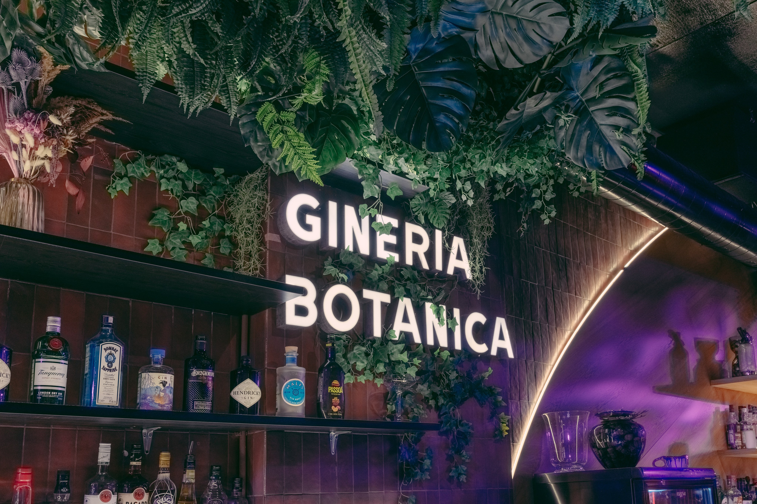 Bar project. Photographer Viktor Nikishov