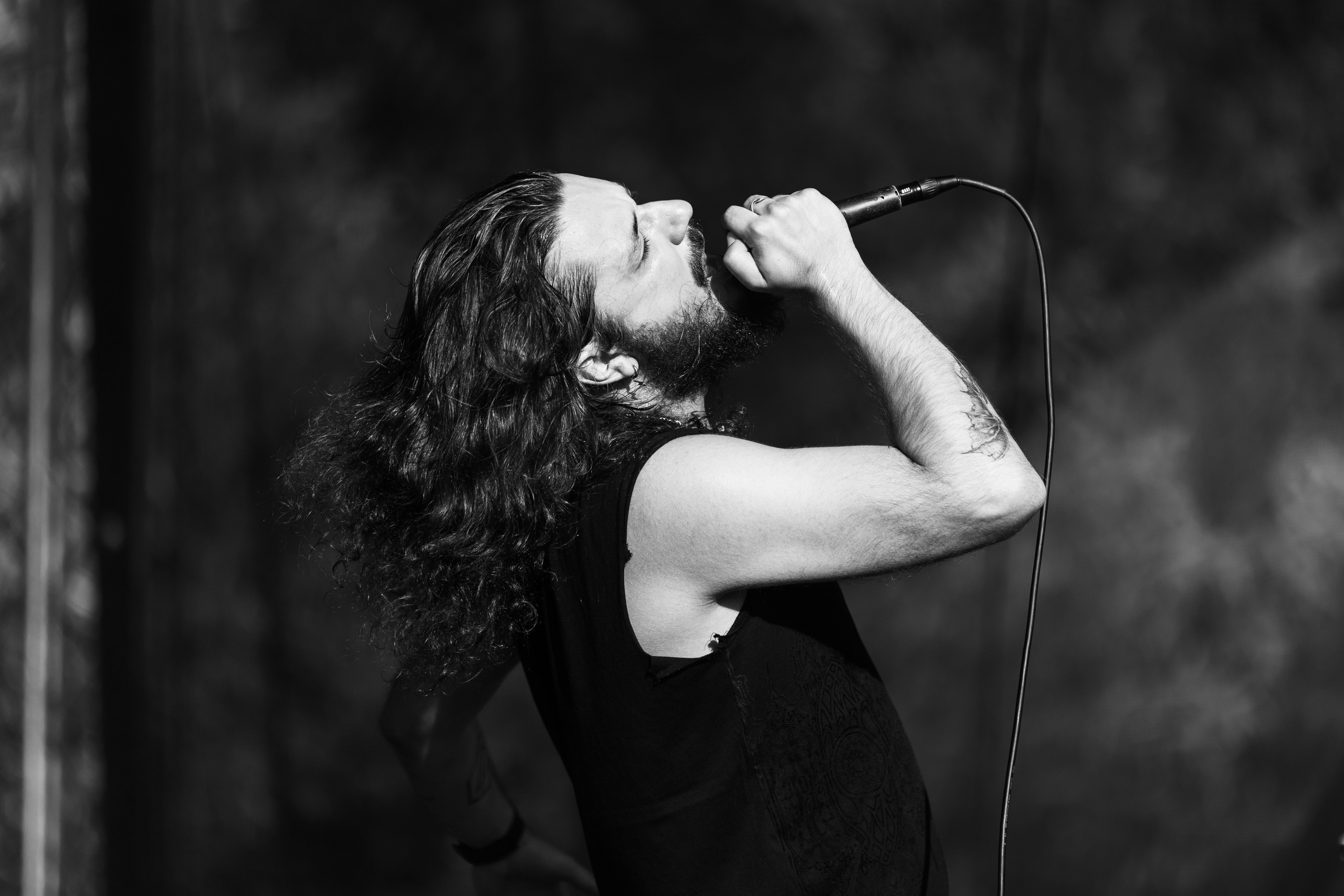 Festivals & Concerts. Razvan Sogor Photography