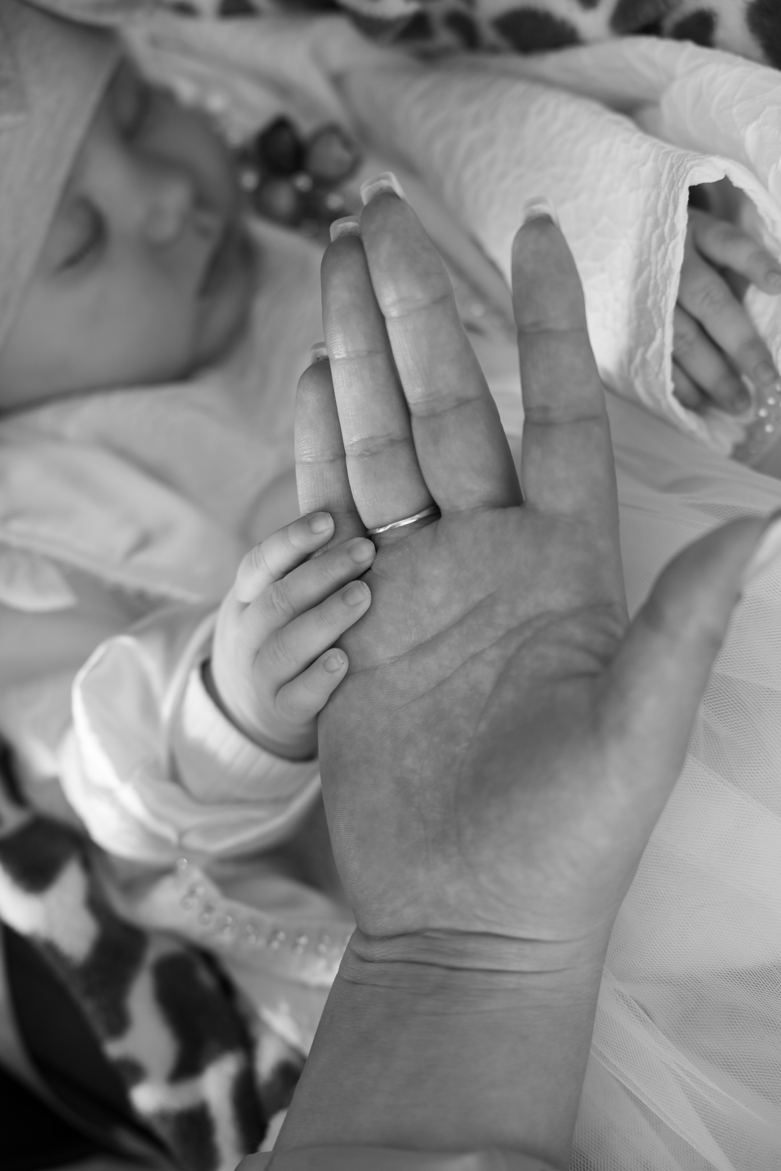 Botez. Portrait and Family Photographer in Netherlands