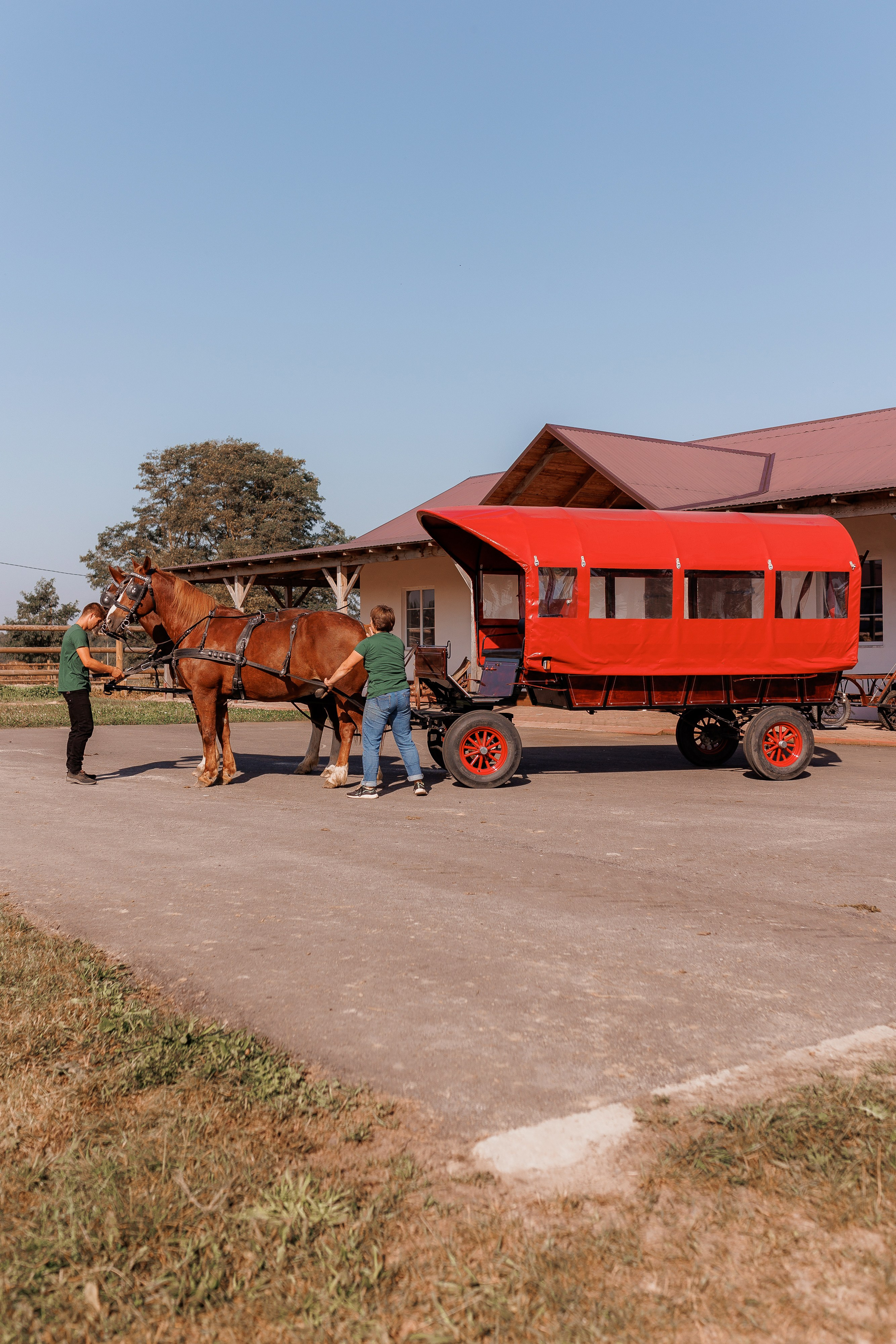 Екопарк Аміла. Ірина Терещук