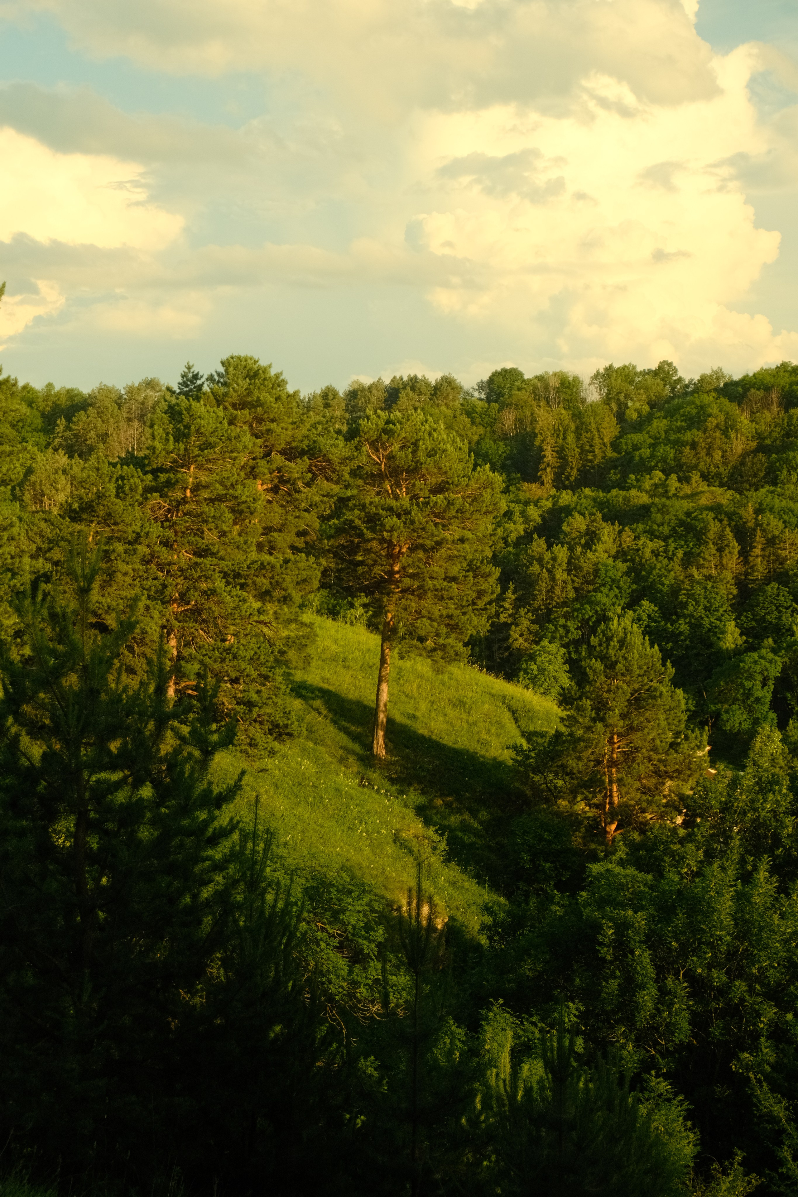 Caucasus & Elbrus. Portrait and Lifestyle Photographer in Vienna — Nick Pavlov