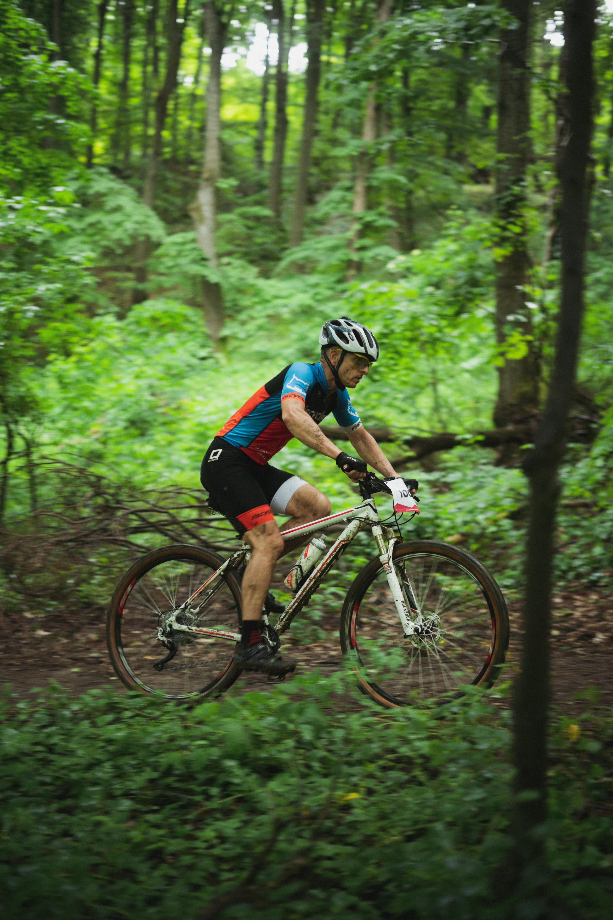 Tour de Fruska. Zhukov studio