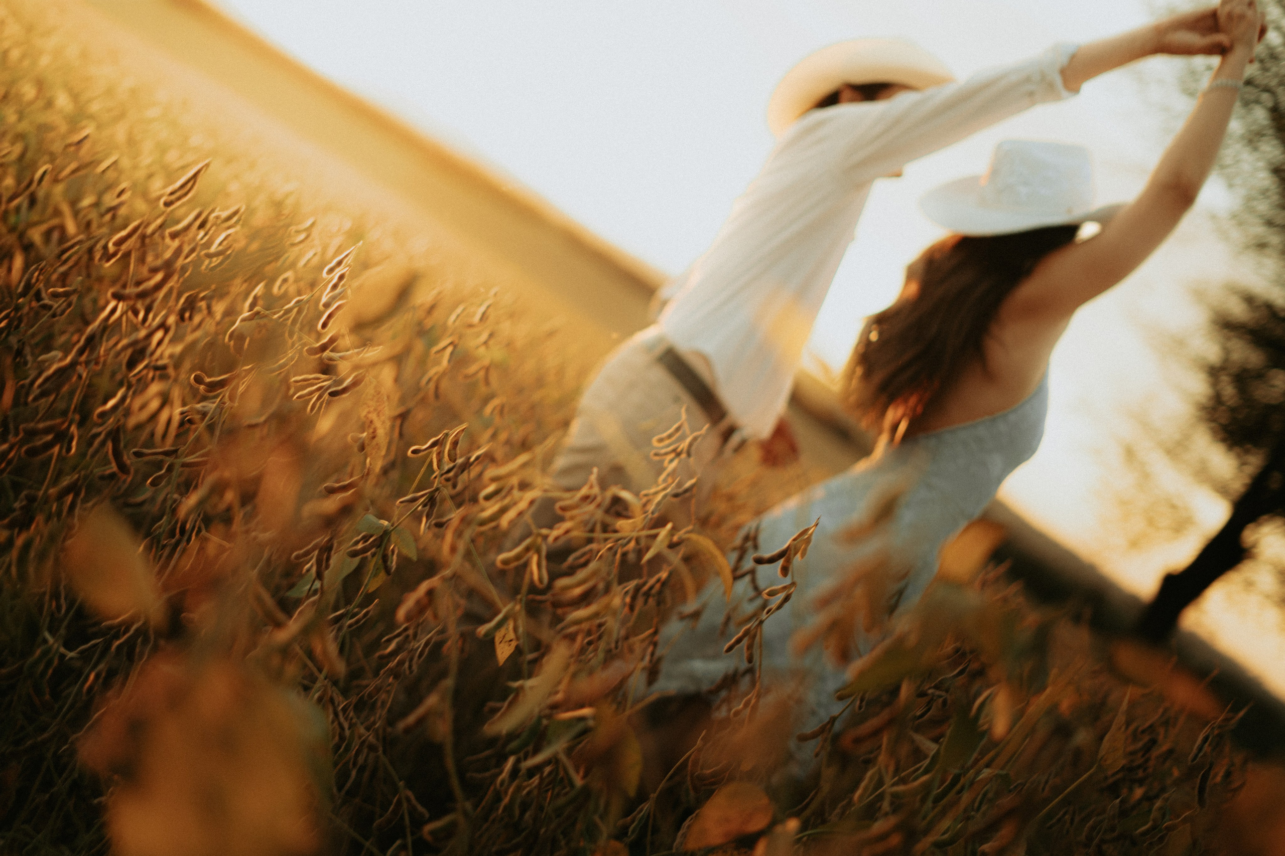 Pré Wedding. Reference Visuals