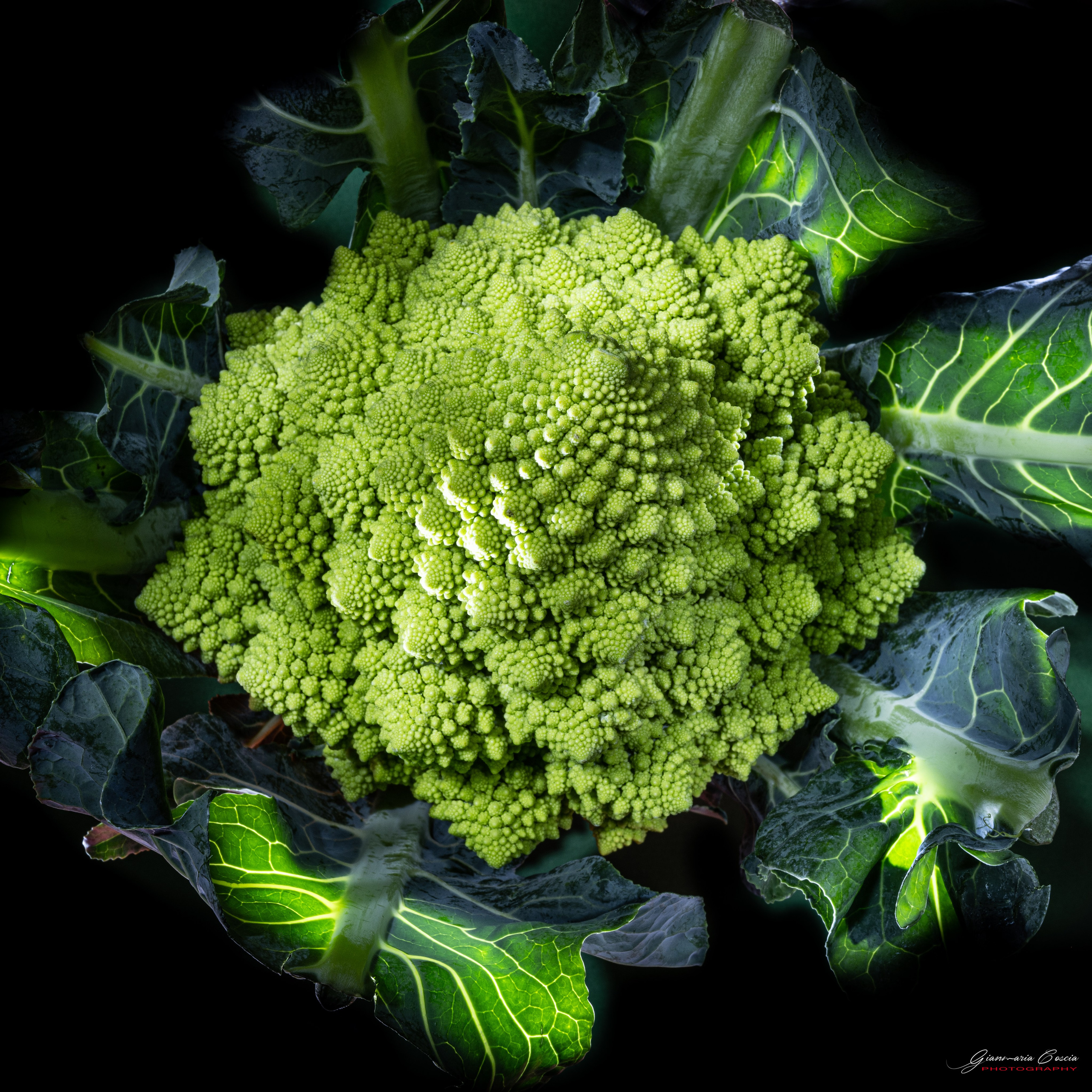 Frutta & Verdura. “Gianmaria Coscia fotografo per passione”