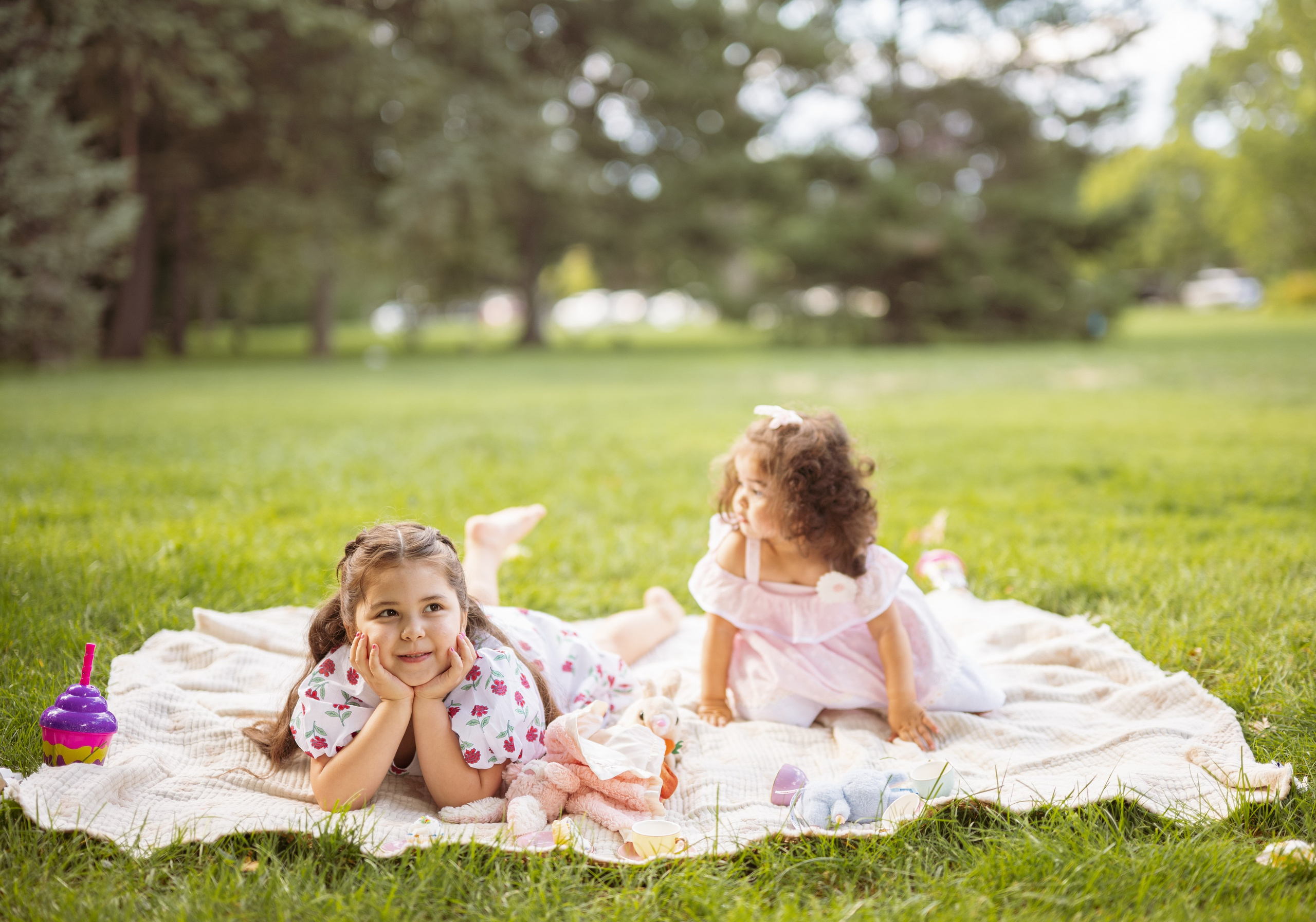Chicago family photoshoot. Photographer in Chicago