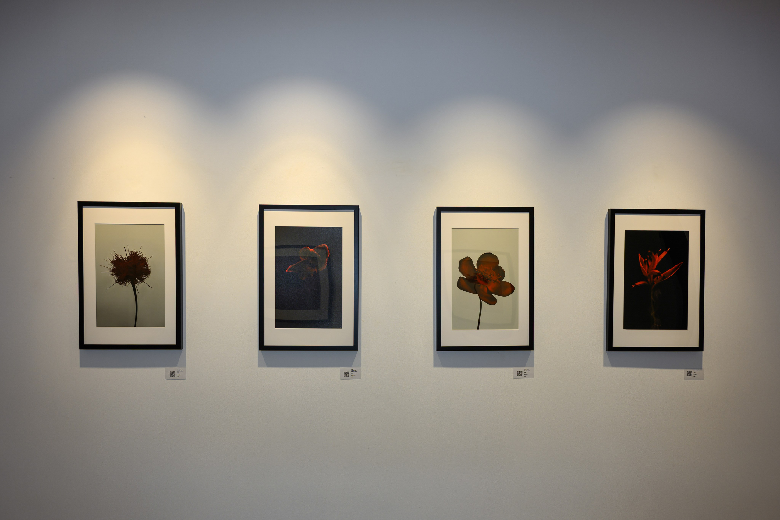 Solo Exposition “BeComing”, gallery CAW, Walferdange. Photographer in Luxembourg Tanita