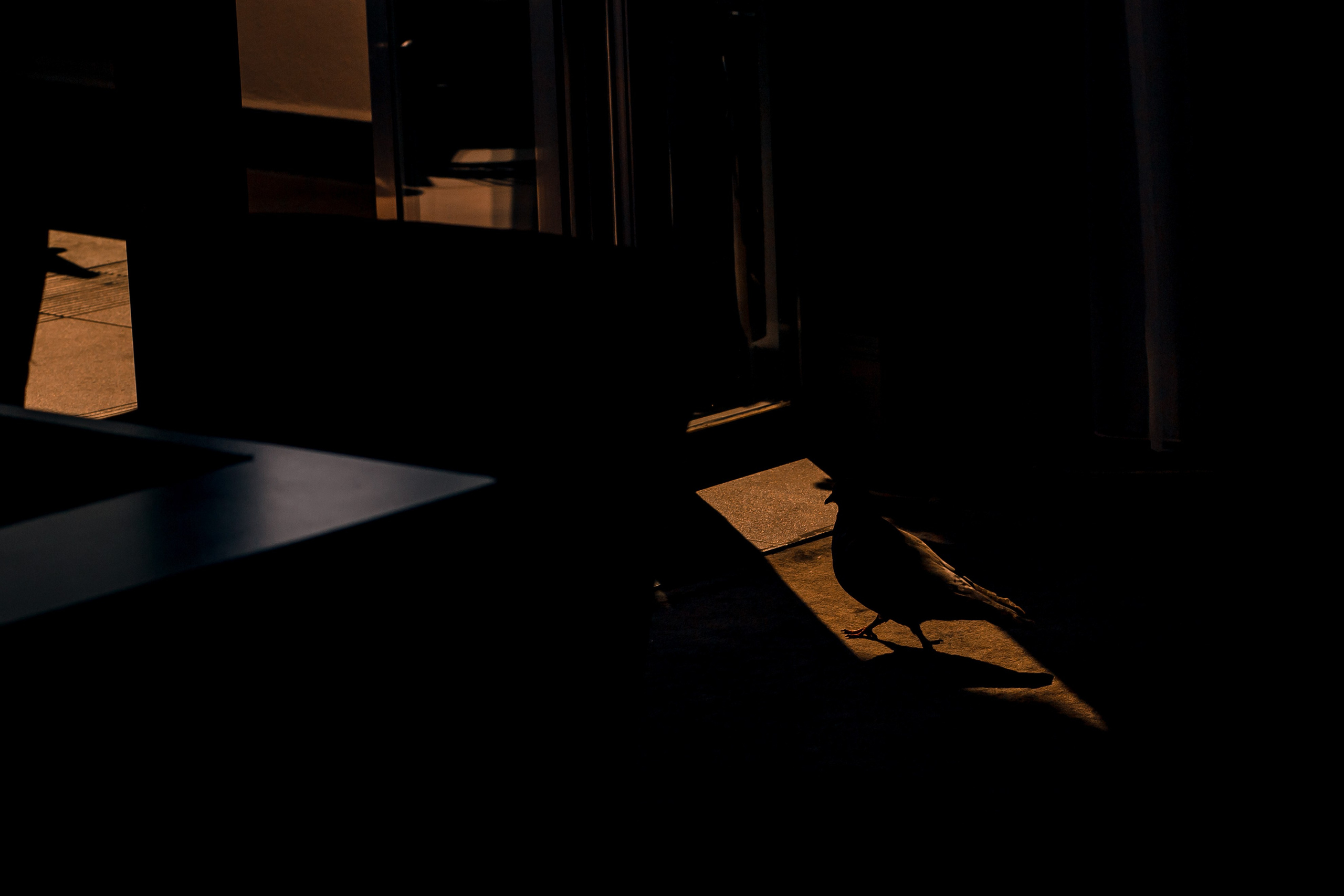 Georgia, Batumi. Art Photographer