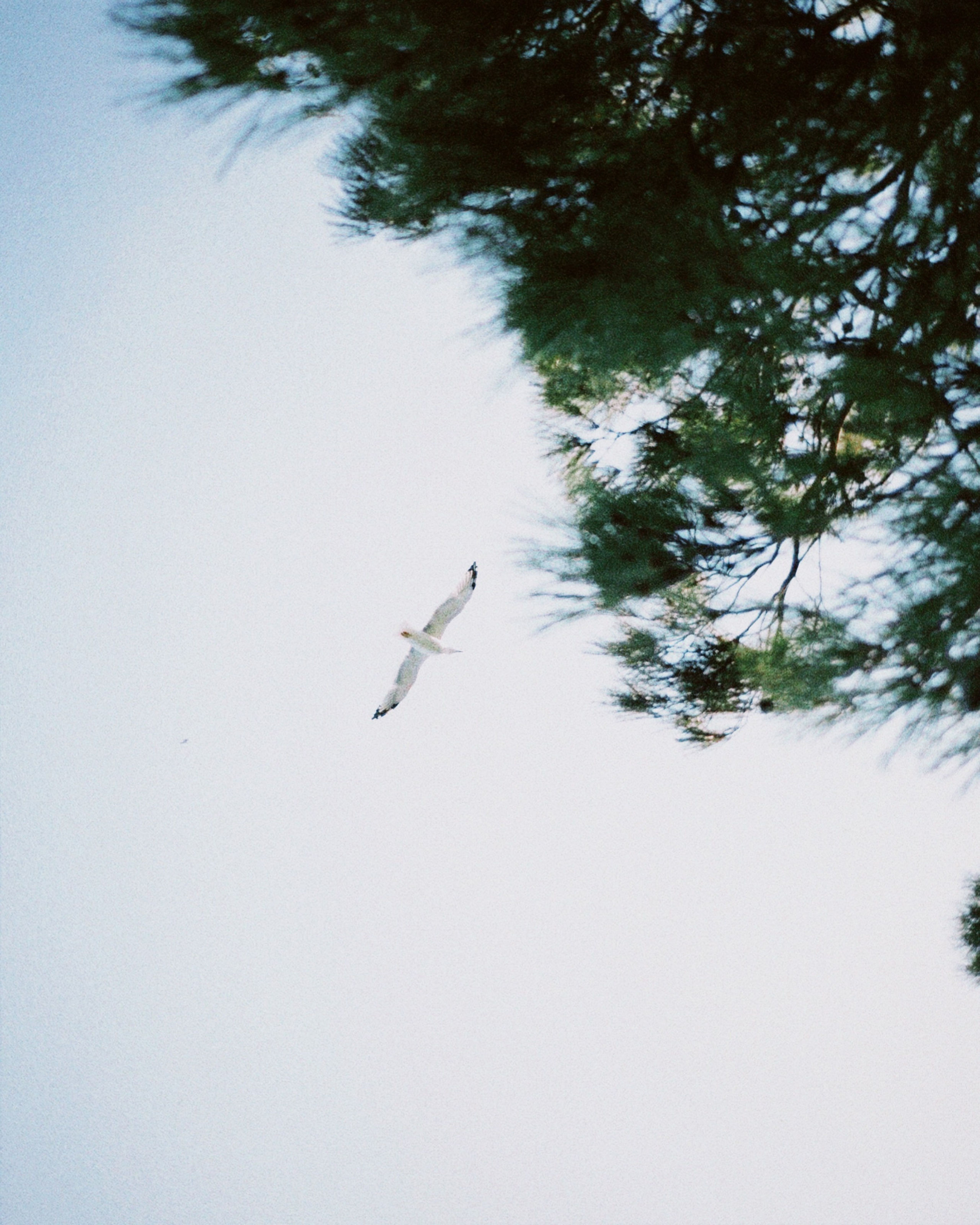 GUZEL. Photographer Inna Mendelson