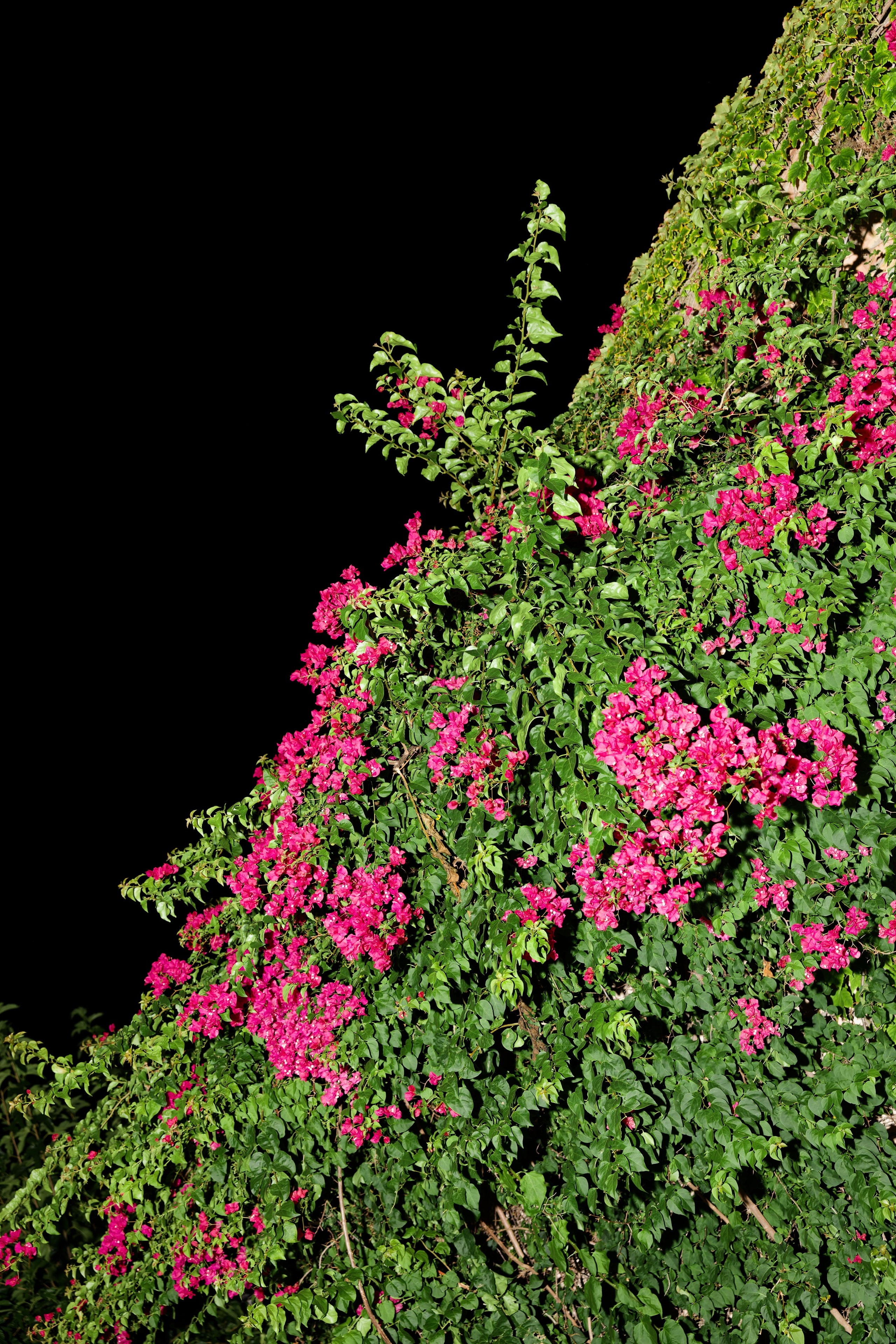 Wedding of Gracie & Joe at Gran Villa Rosa, Barcelona