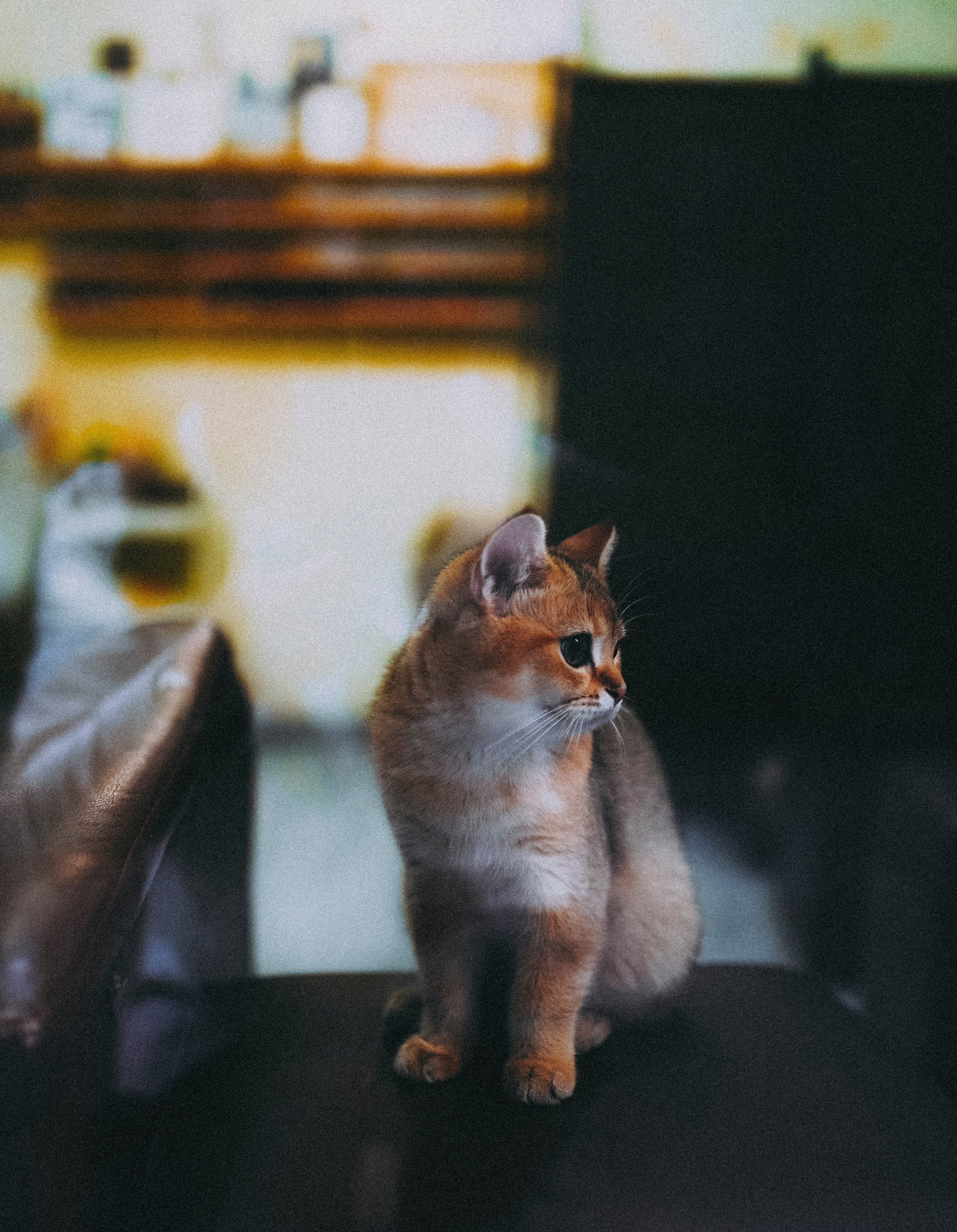 ЕВРОТУР. Стрит-фотография, полная абсурда, идиотизма и красоты