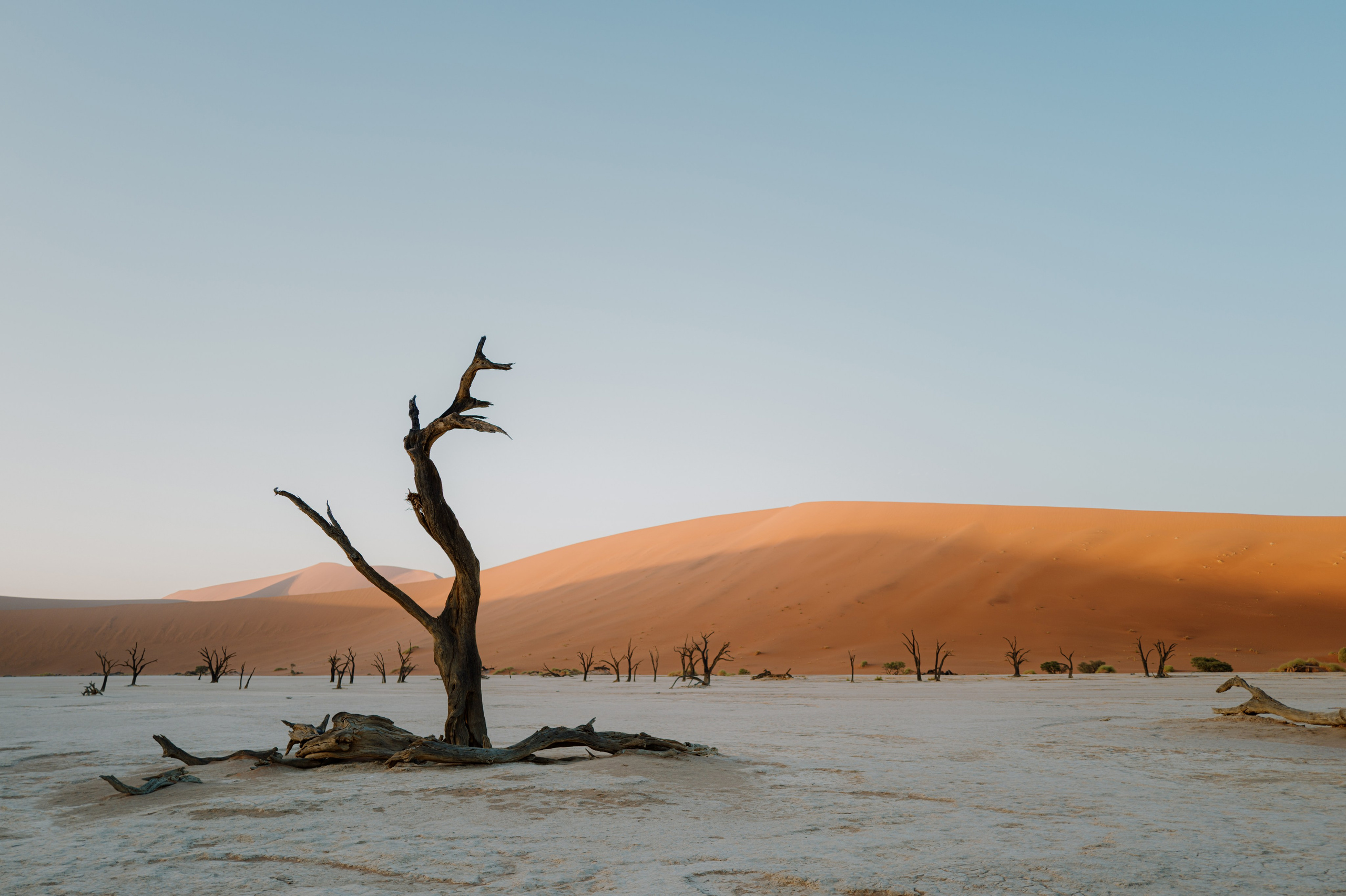 Namibia. M Atelier | Art Portraits