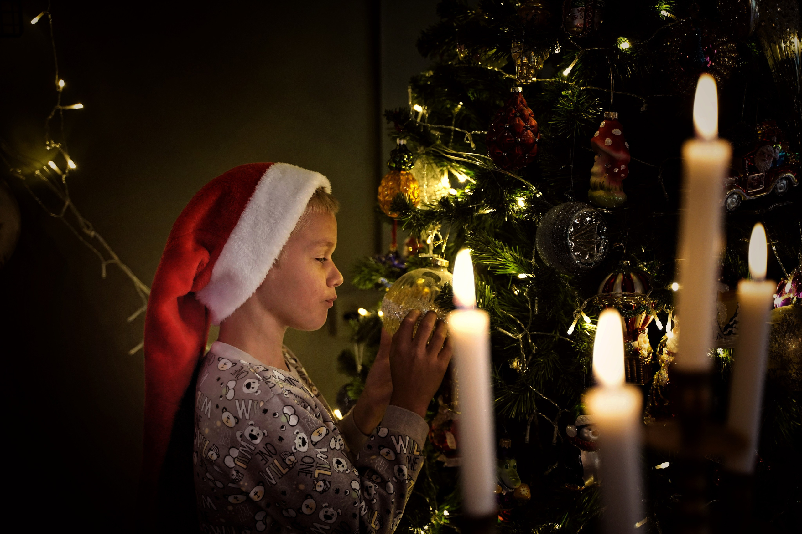 Эльфы. Фотограф. Визуал. Хайфа. Талья Цветкова