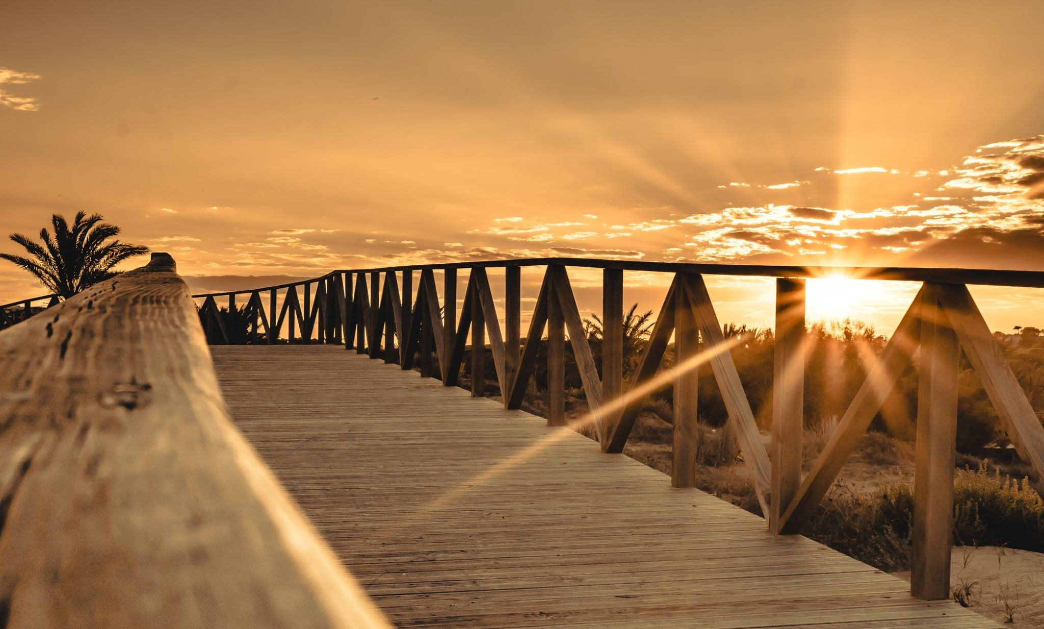 Bocetos. Alba del Norte Studio