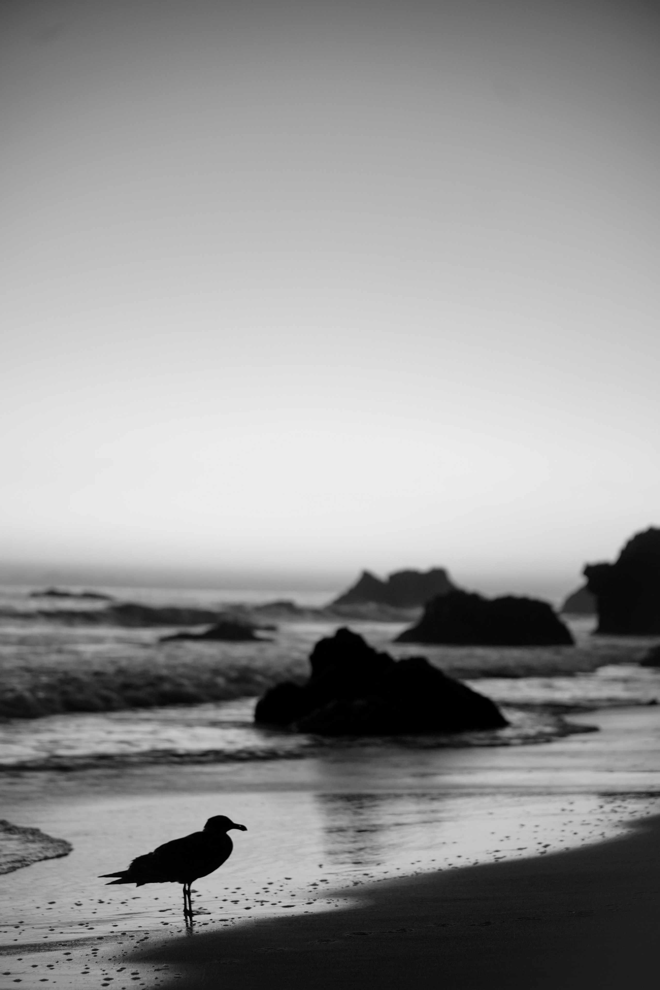 Photographer New York / Los Angeles