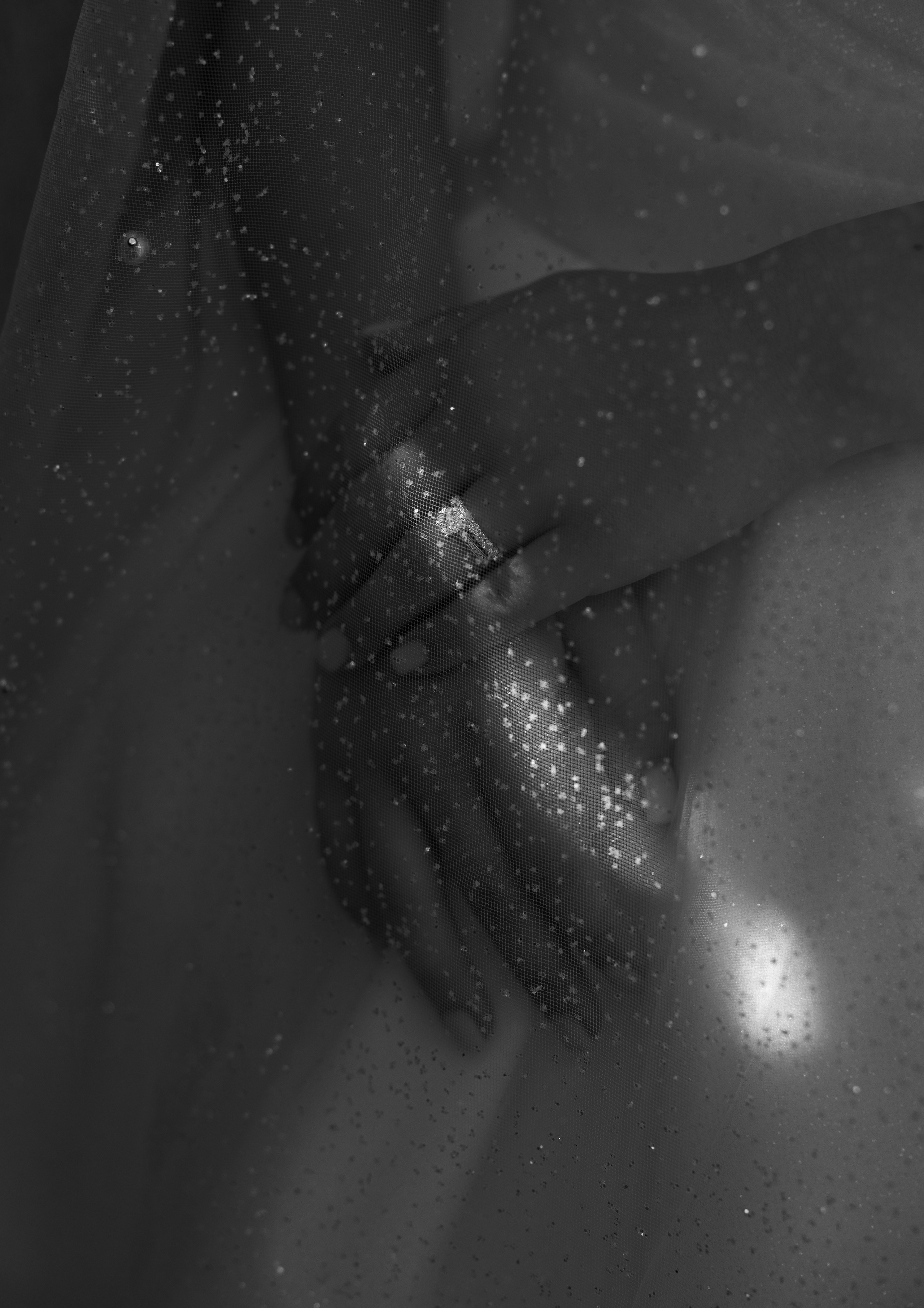 Vitalii and Diana. Massachusetts. Photographer Anastasia Nagibina